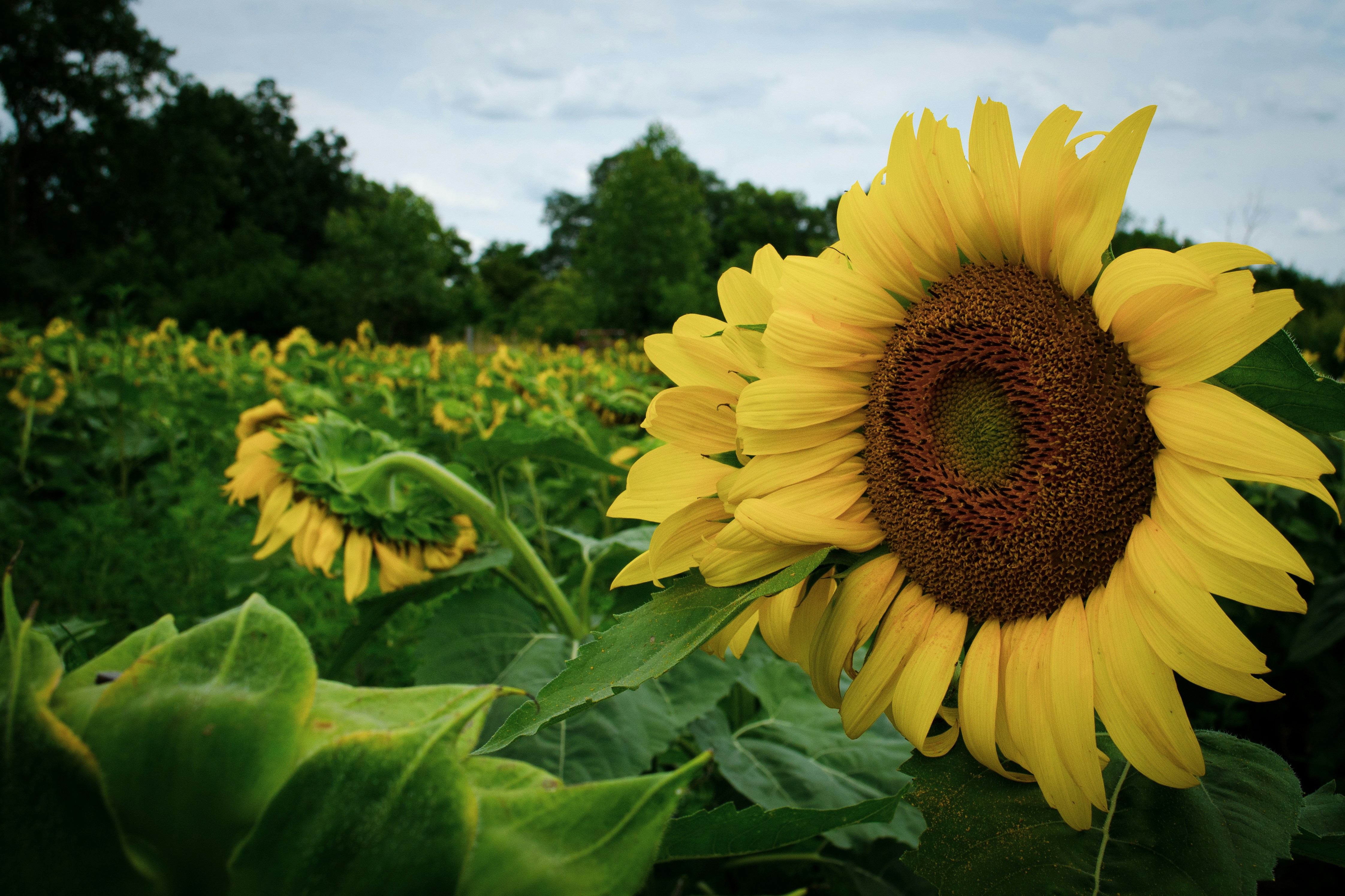 Photo by kry_lyte333