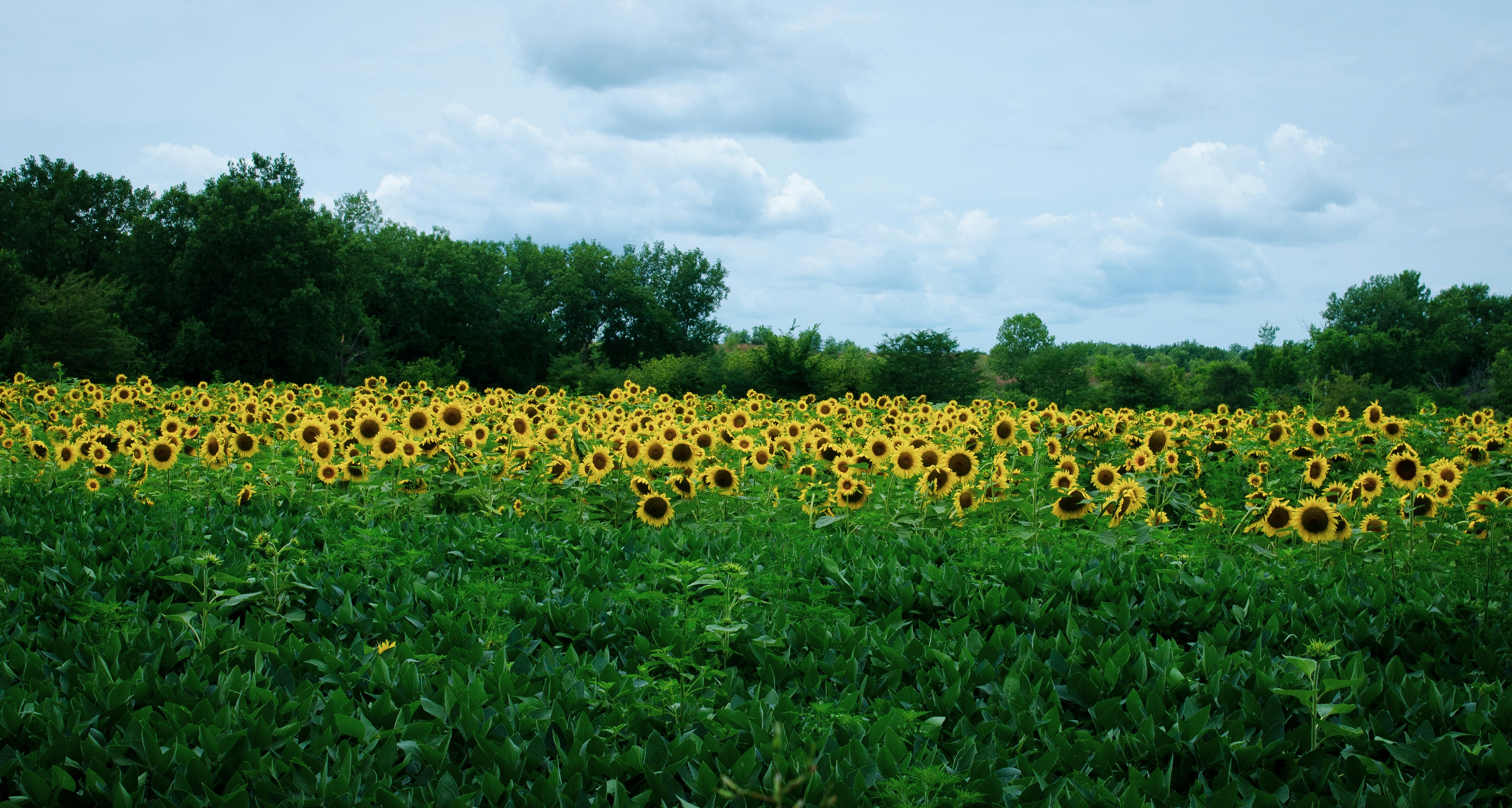 Photo by kry_lyte333