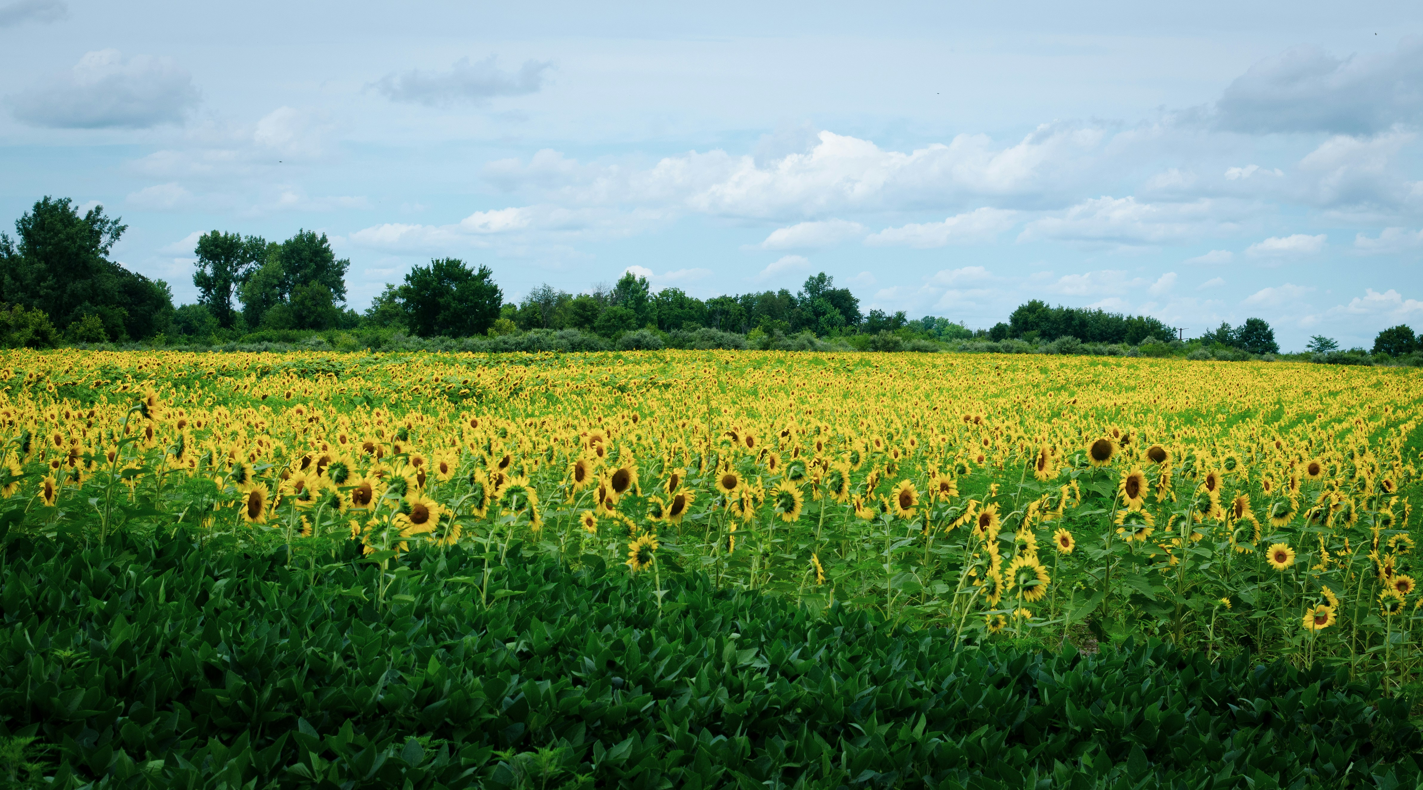 Photo by kry_lyte333