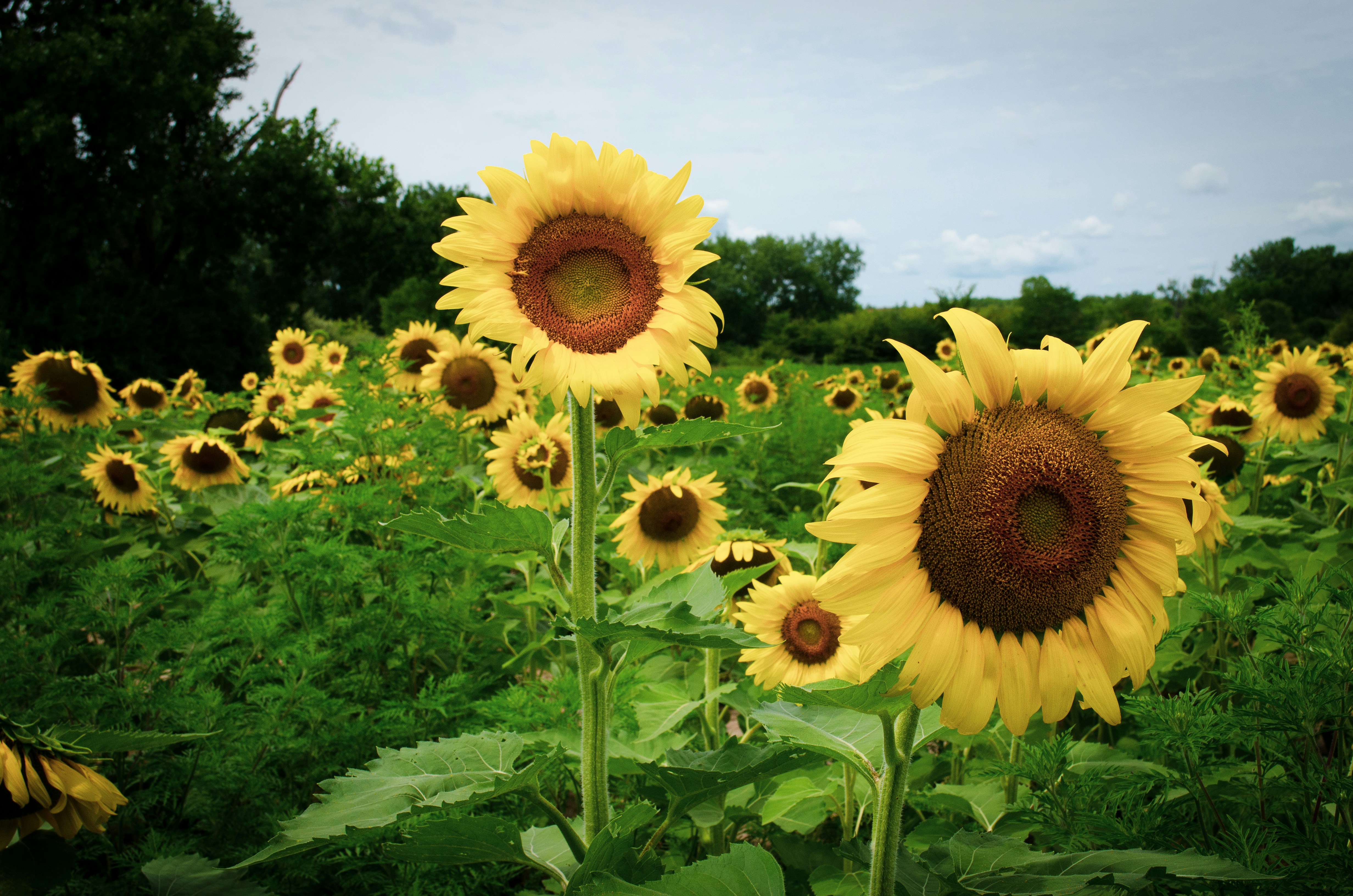 Photo by kry_lyte333