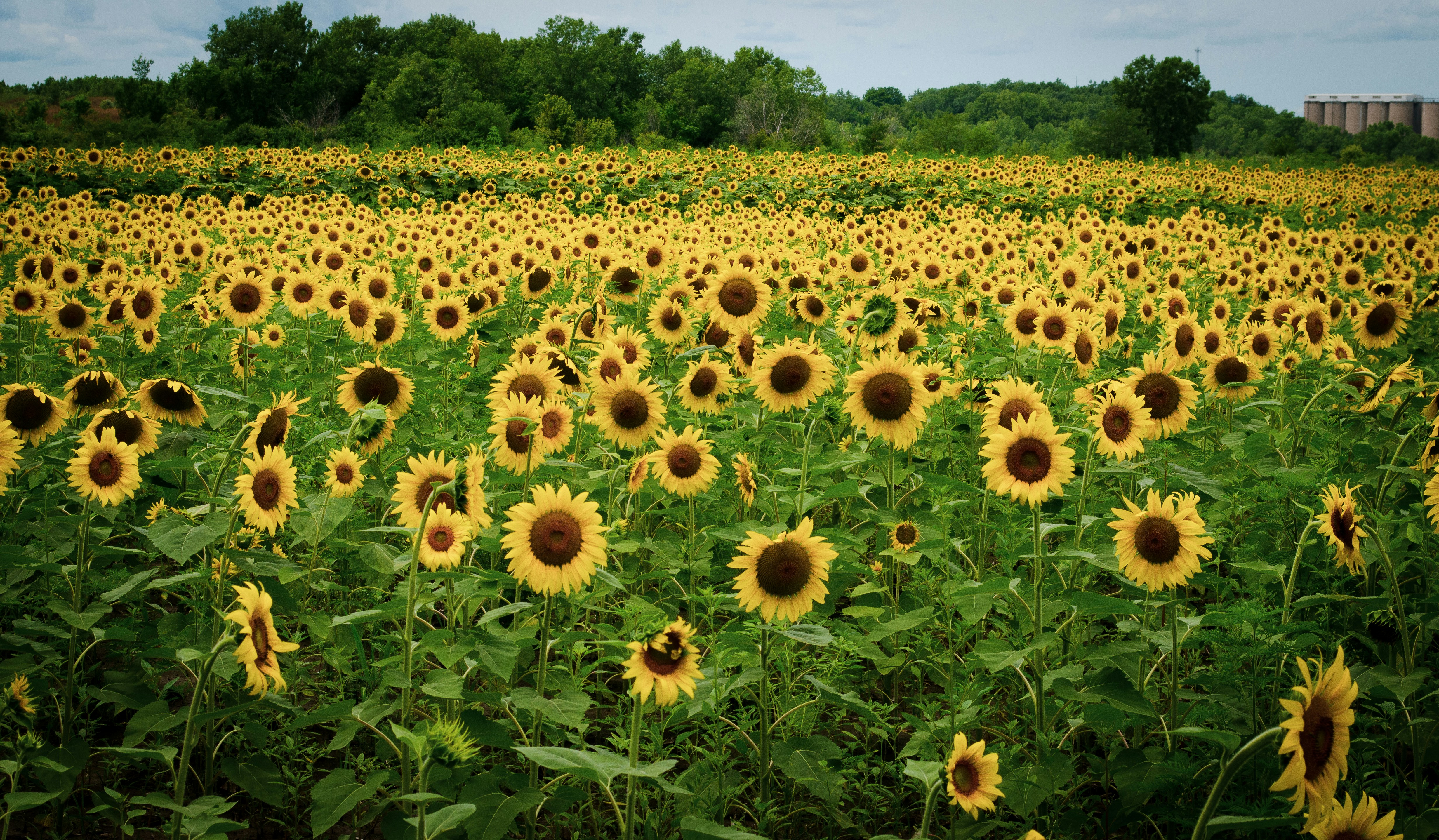 Photo by kry_lyte333