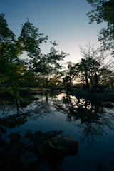 A quiet pond reflecting tall trees with frogs croaking nearby at twilight.