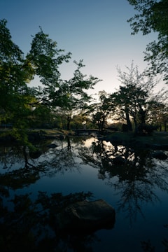 Soft-focus image of a calm pond reflecting surrounding trees at dusk.