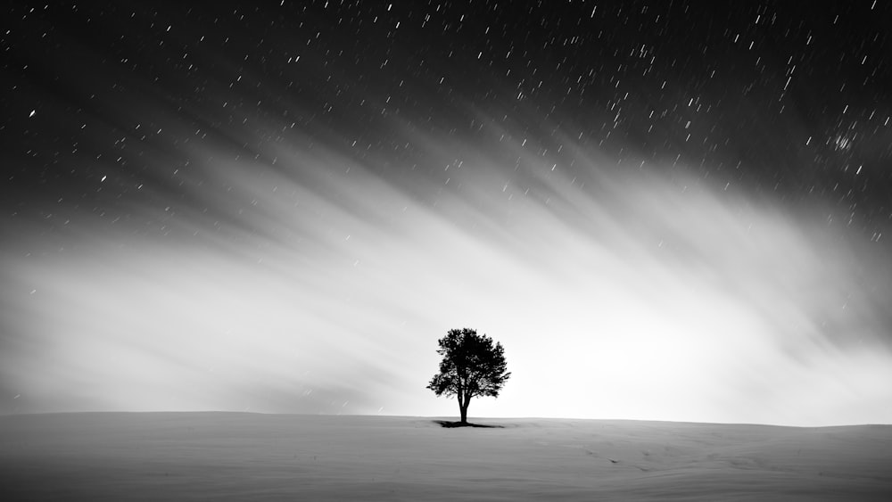 a lone tree in the middle of a snowy field