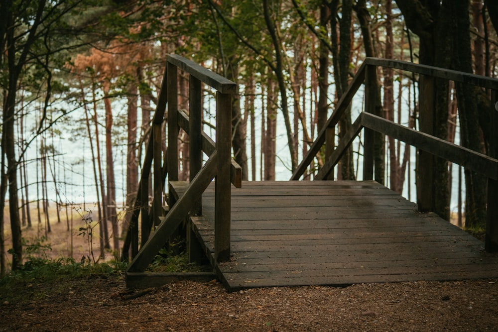 a wooden bridge in the woods leading to a lake