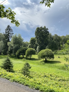A lush green park landscape with various trees and shrubs under a partly cloudy sky. The foreground features small coniferous trees, while larger leafy trees fill the background. The well-maintained grass and hints of sunlight create a serene and vibrant atmosphere.