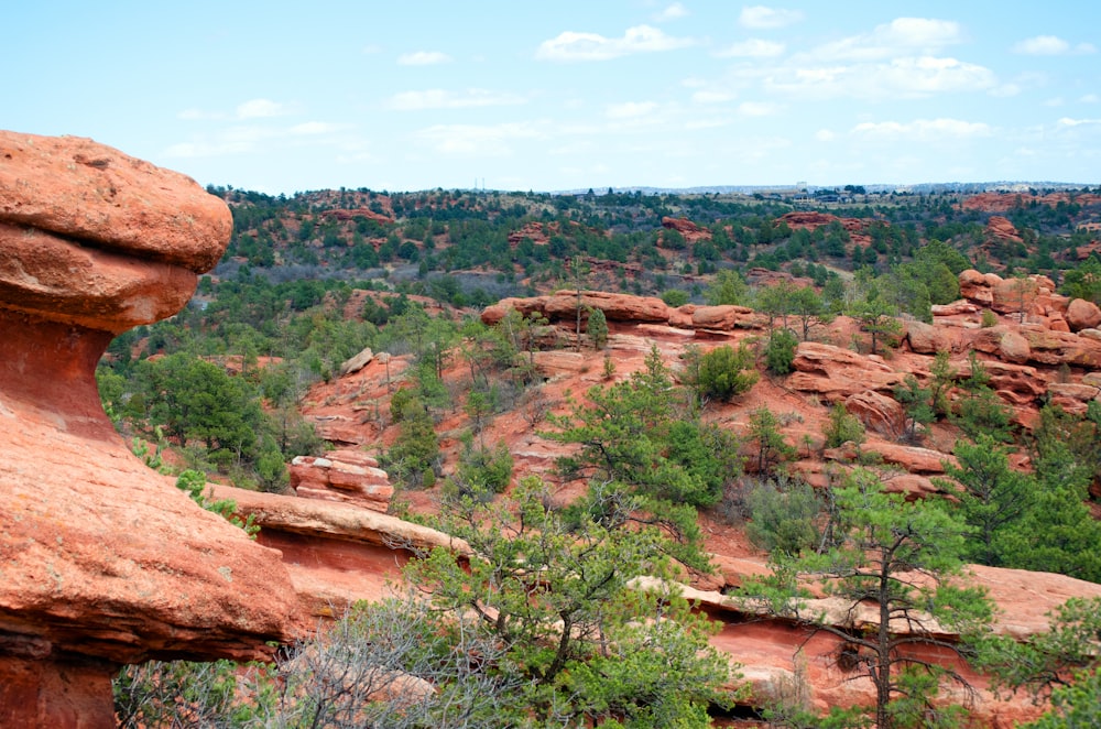 a view of a rocky landscape with trees in the foreground