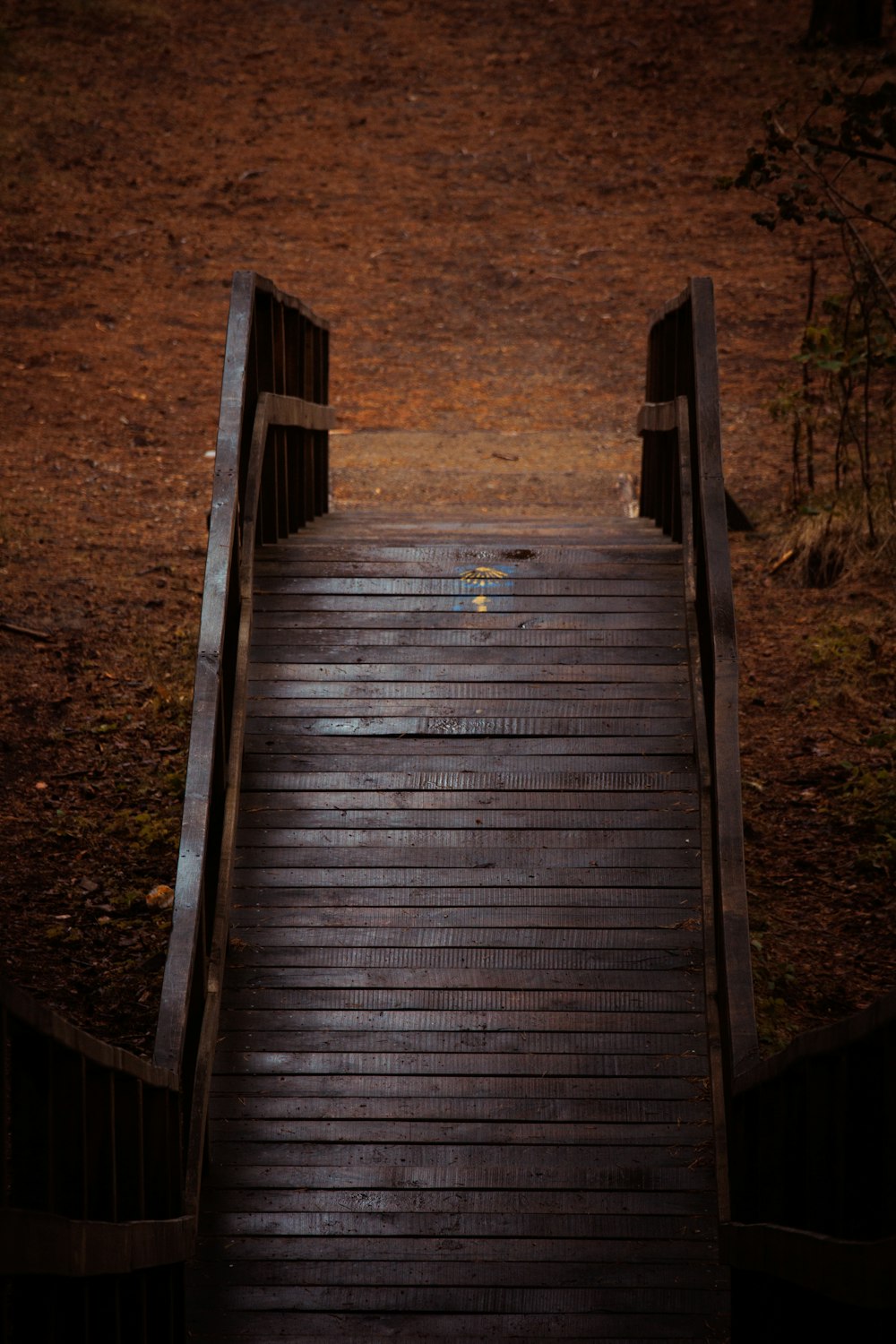 uma passarela de madeira que leva ao topo de uma colina