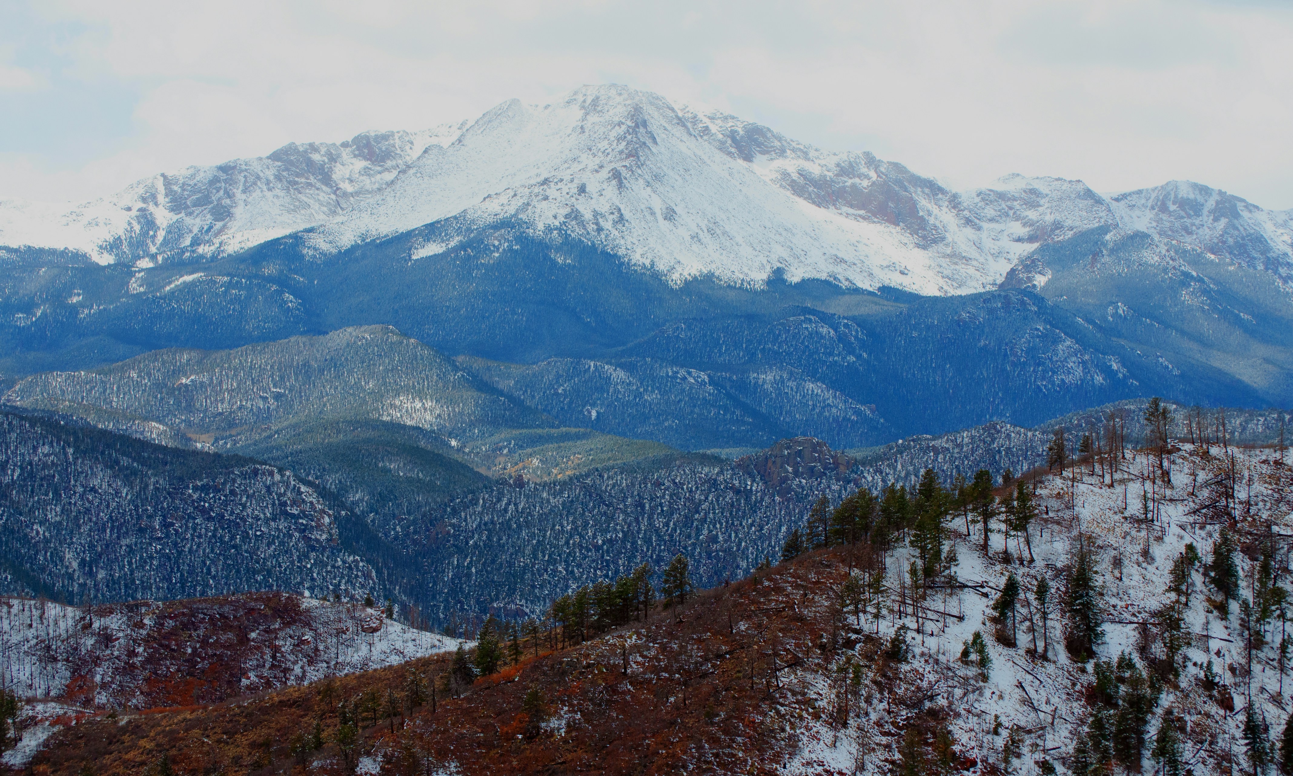 a mountain range covered in snow and trees