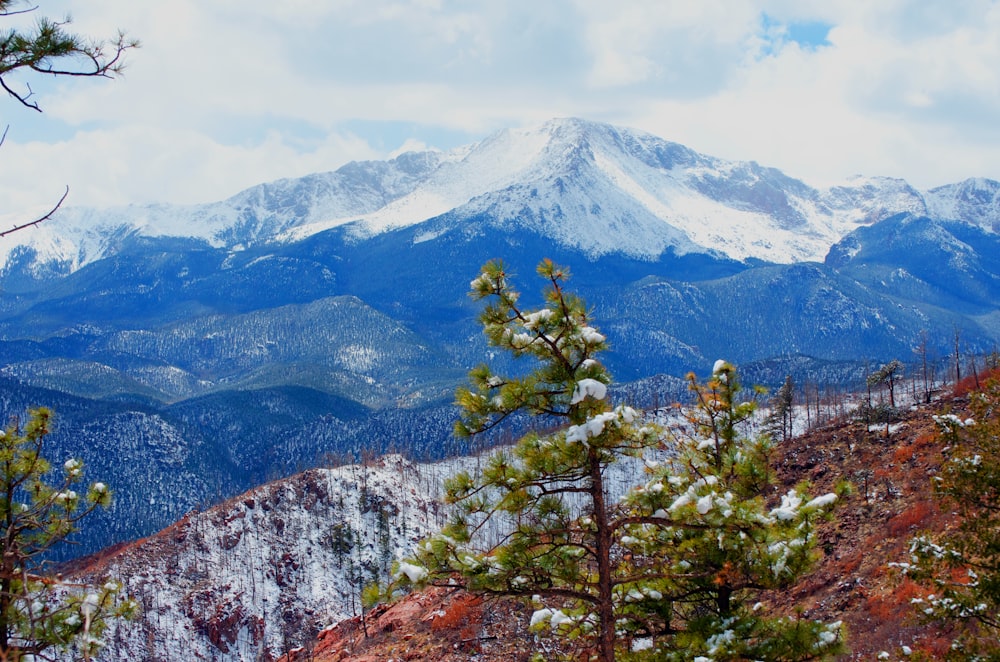 a view of a snowy mountain range with pine trees