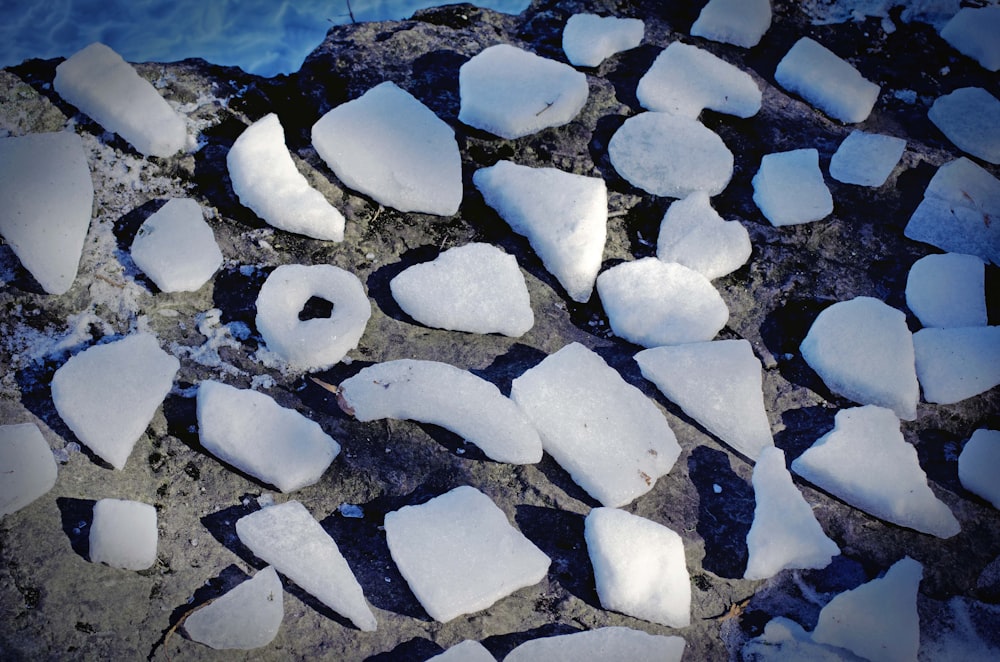 a close up of snow on a rock near a body of water