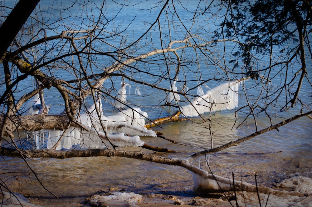 a group of icebergs floating on top of a lake