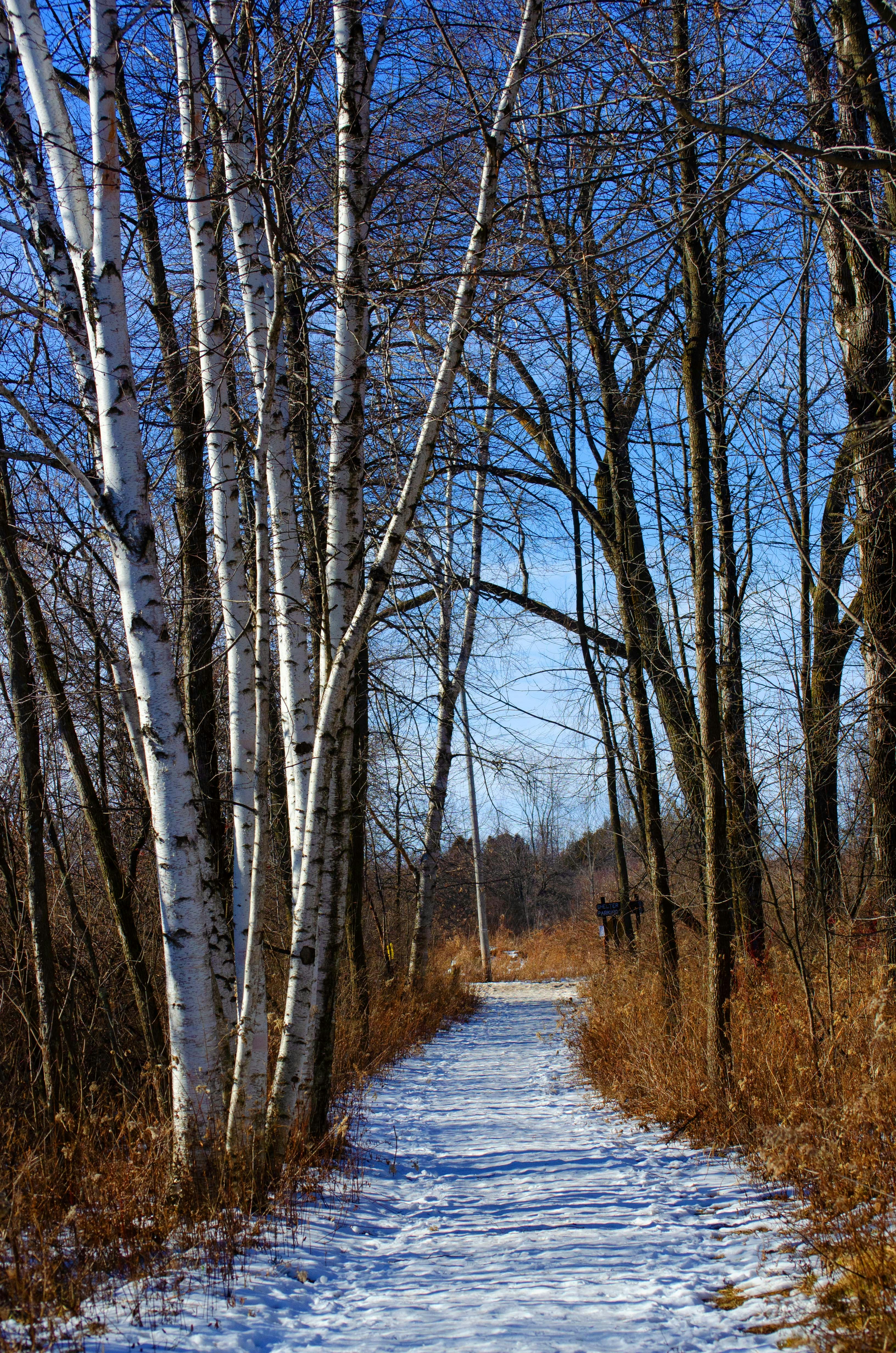 Photo by kry_lyte333