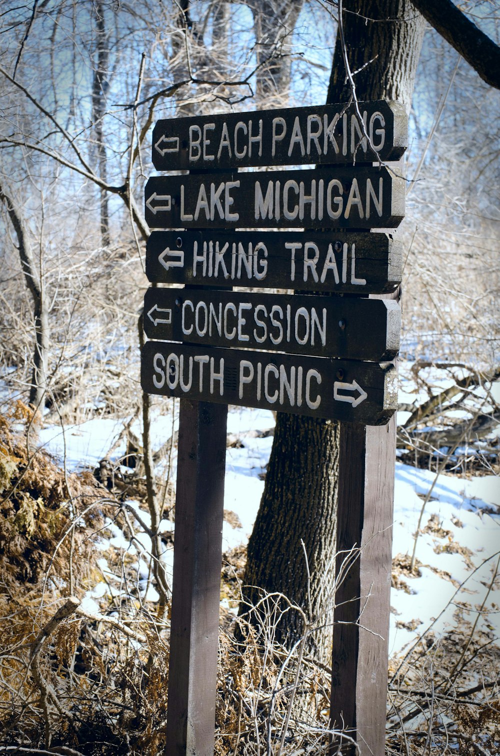 a wooden sign pointing in different directions in the woods