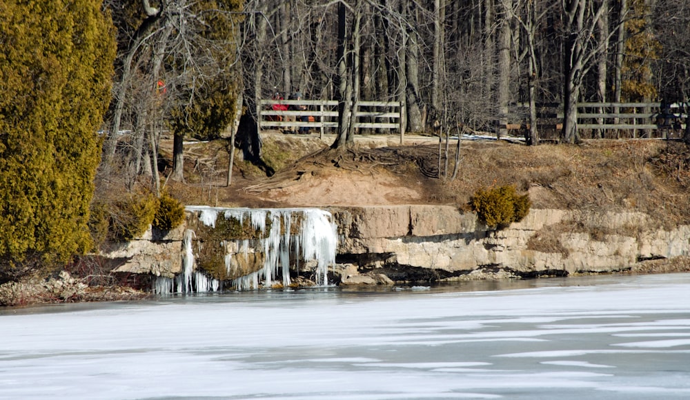 a frozen lake with trees and a fence in the background