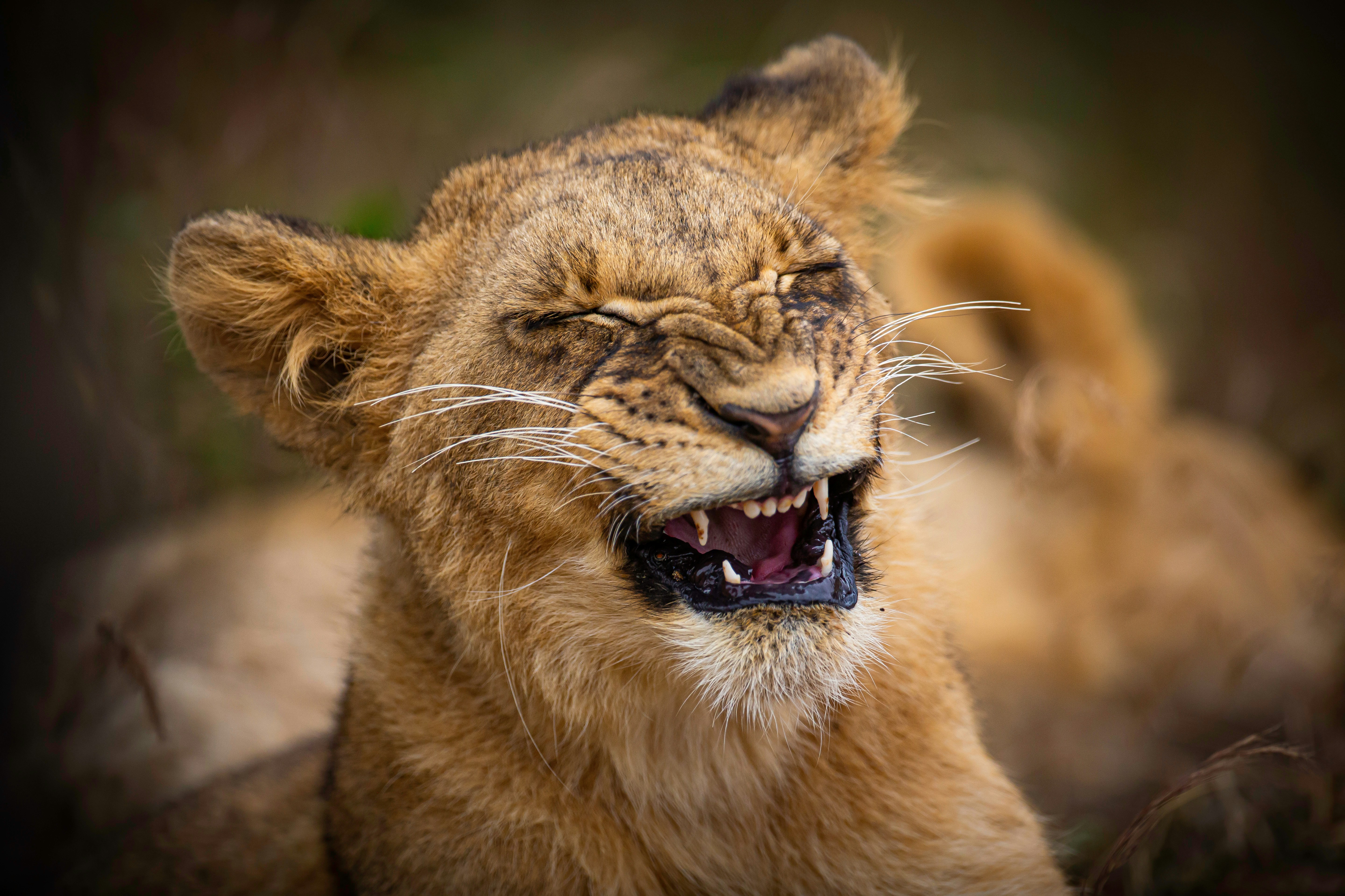 Photo by evans_dimsphoto