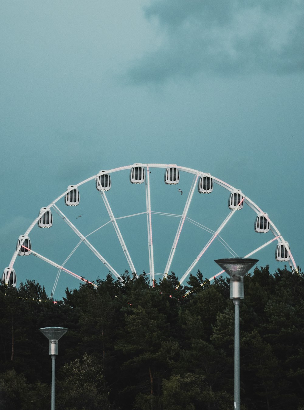 a large ferris wheel sitting next to a forest