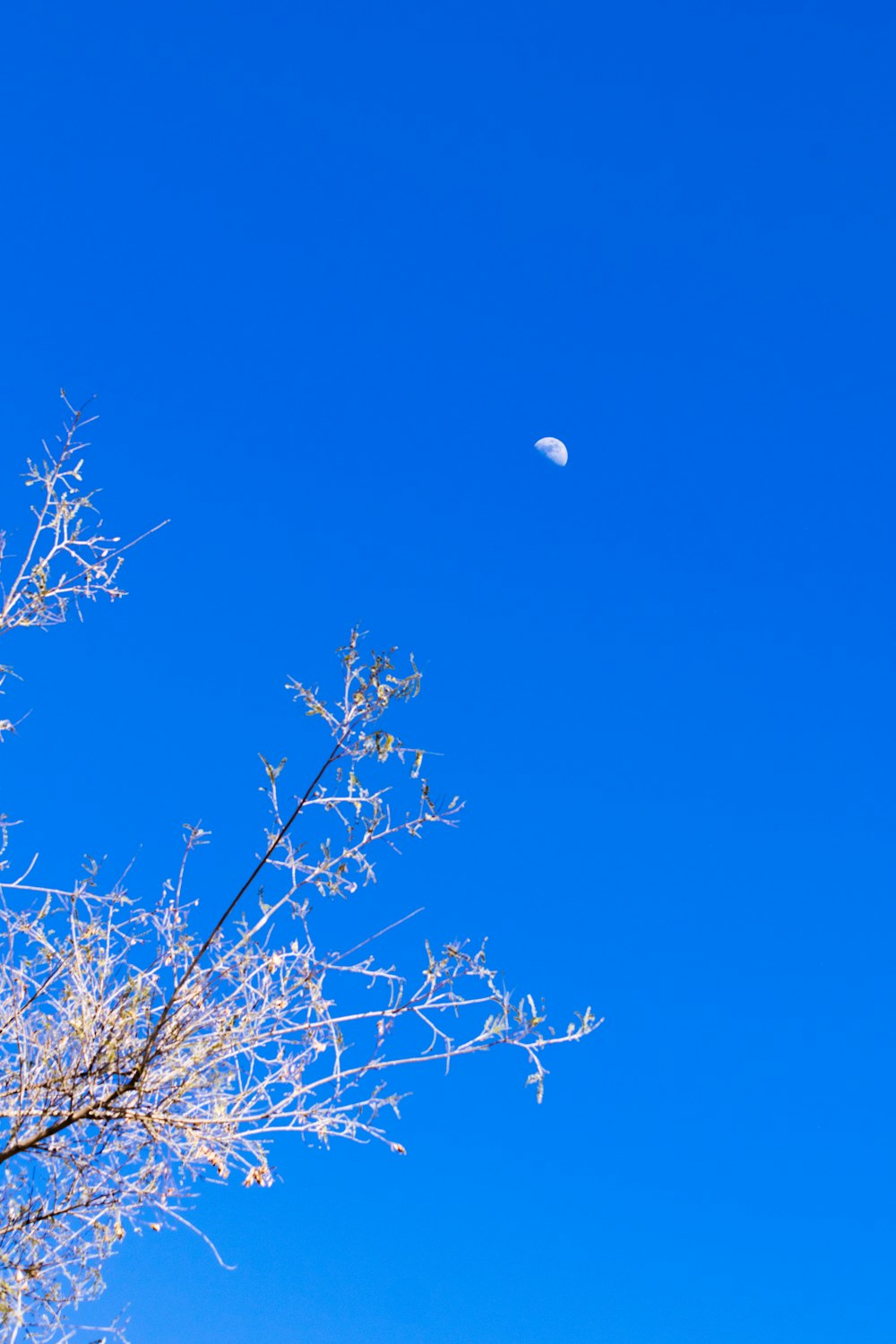a clear blue sky with a half moon in the distance