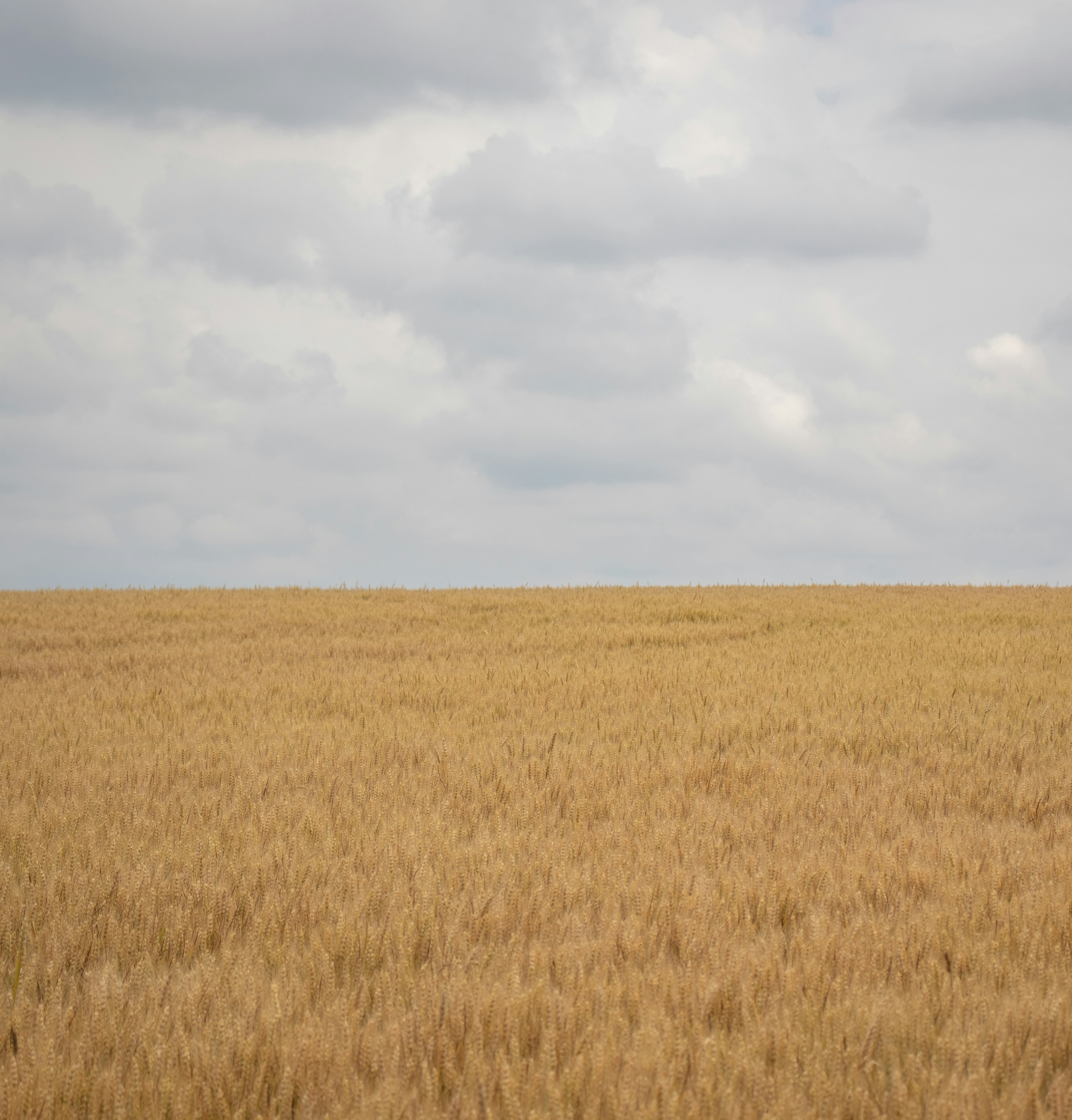 Photo by sinabahar76