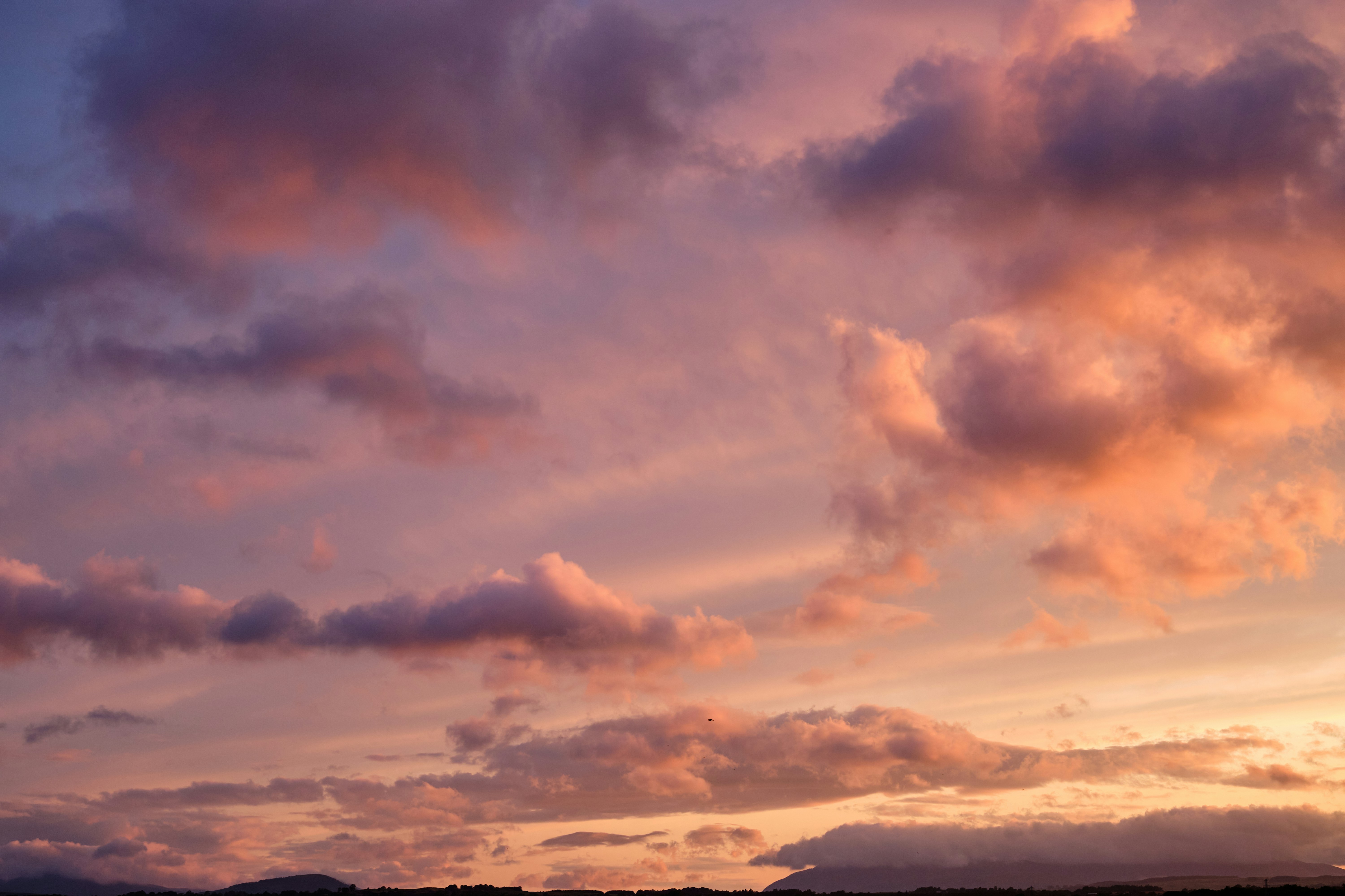 Photo by frostroomhead