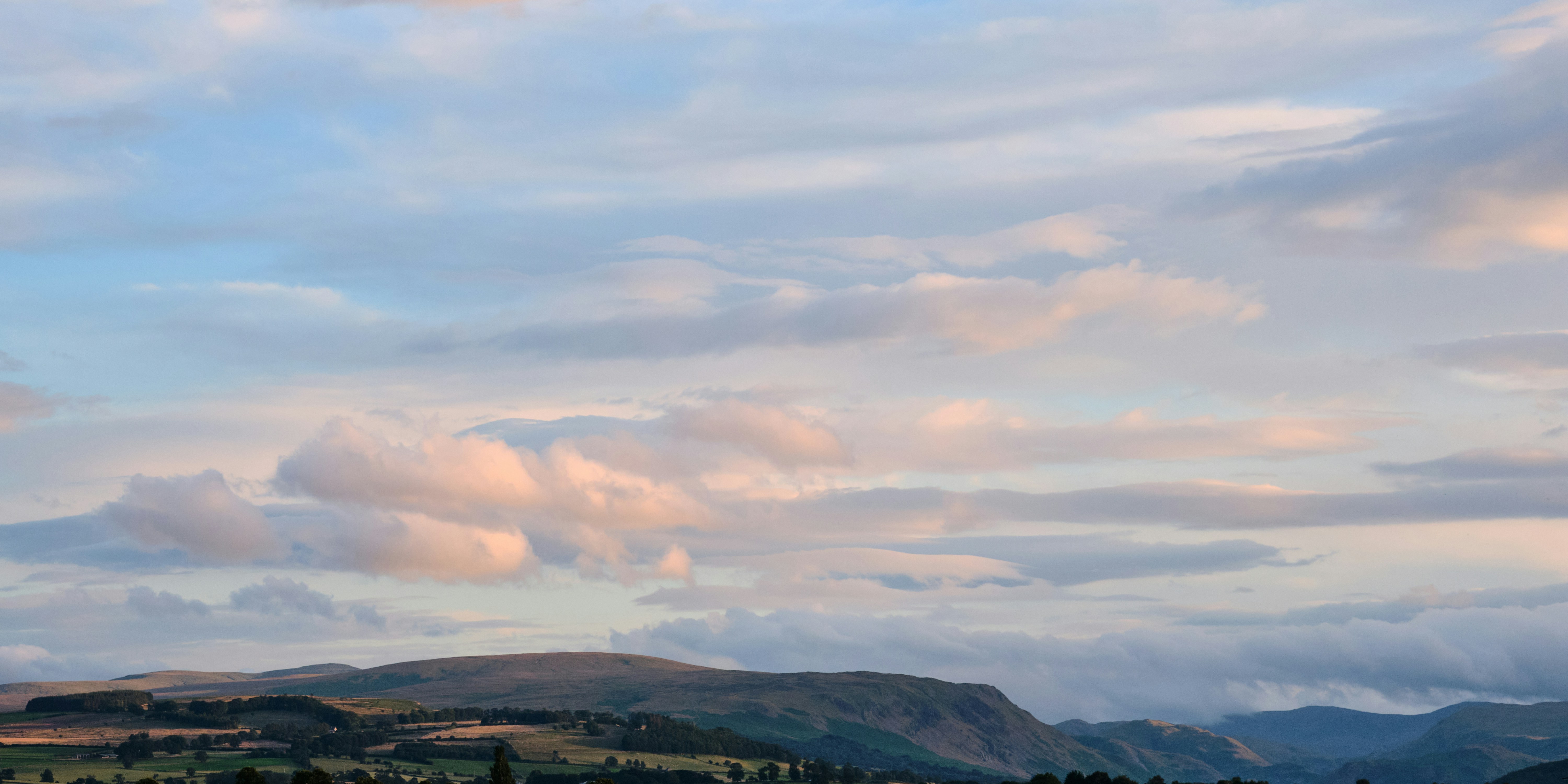 Photo by frostroomhead