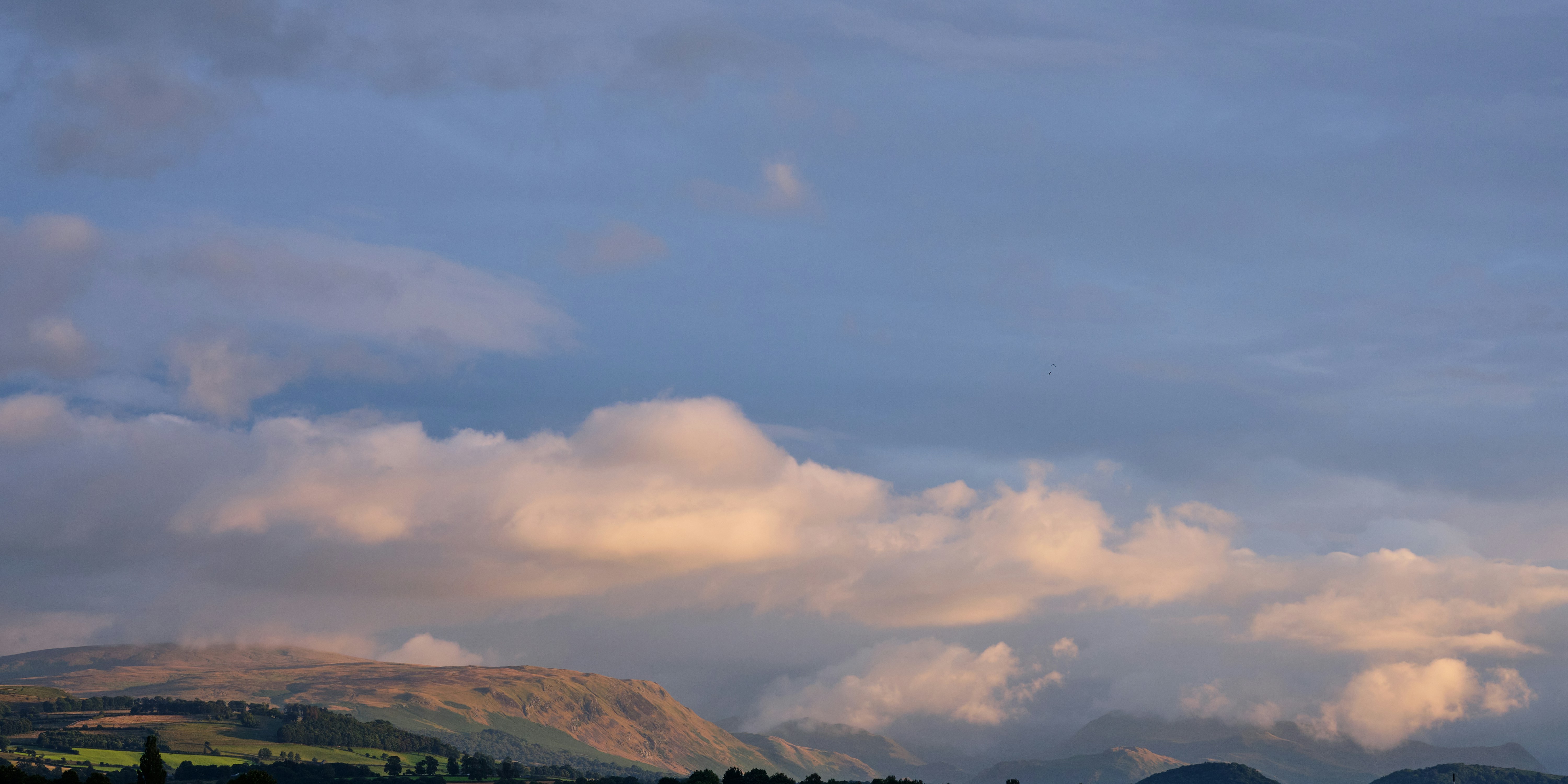 Photo by frostroomhead