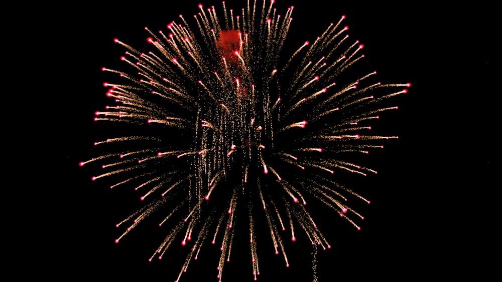 a large fireworks is lit up in the night sky