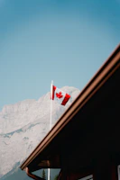 Close-up of a crisp, colorful business card with the Canada flag subtly incorporated.