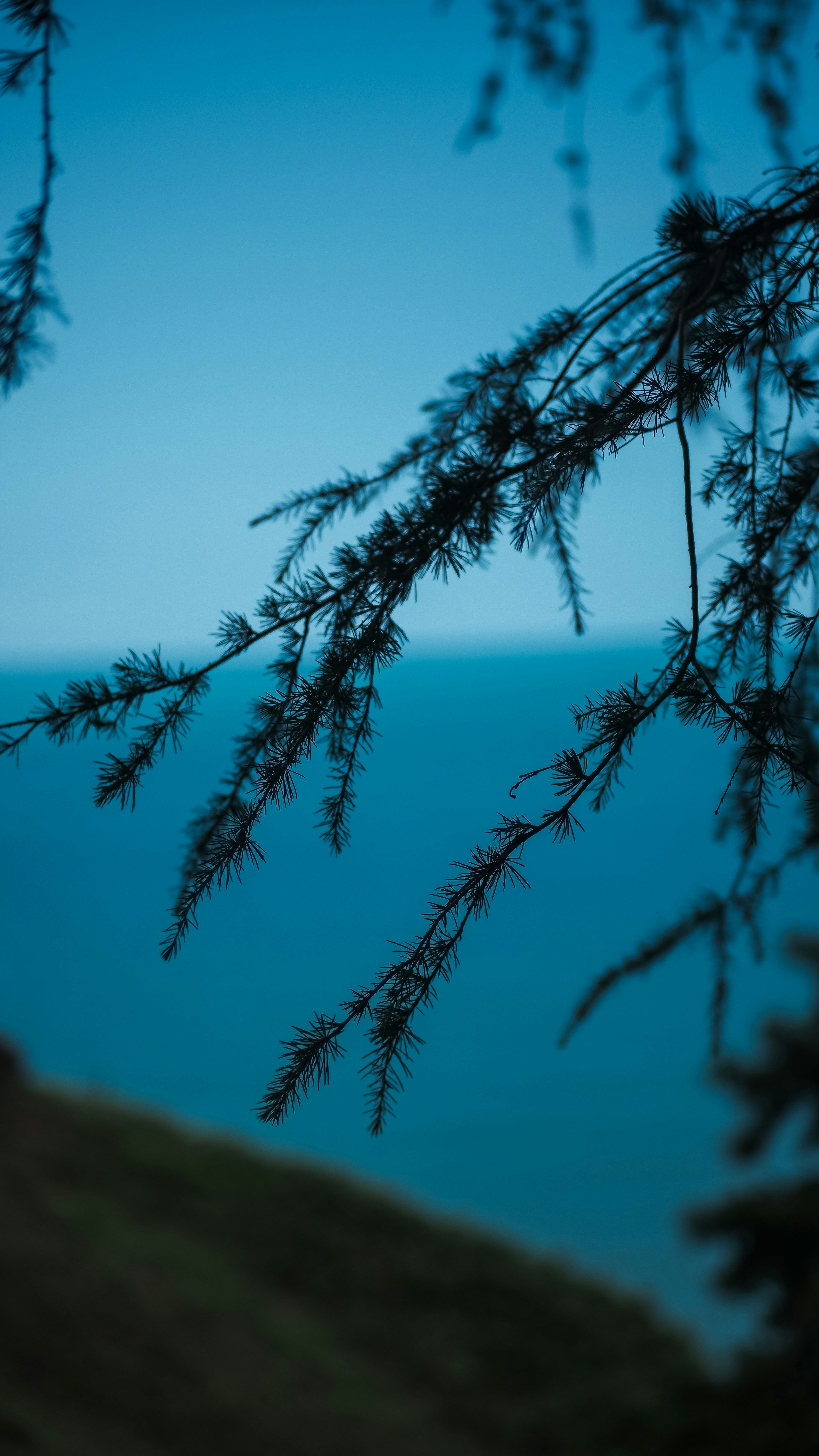 Batumi Botanical Garden — More Than a Garden Visit