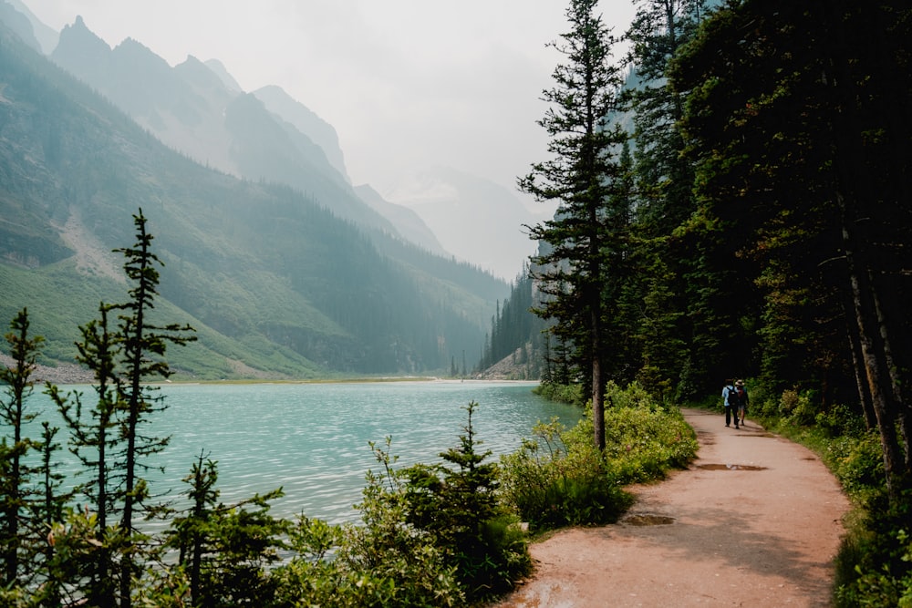 a man riding a bike down a trail next to a lake