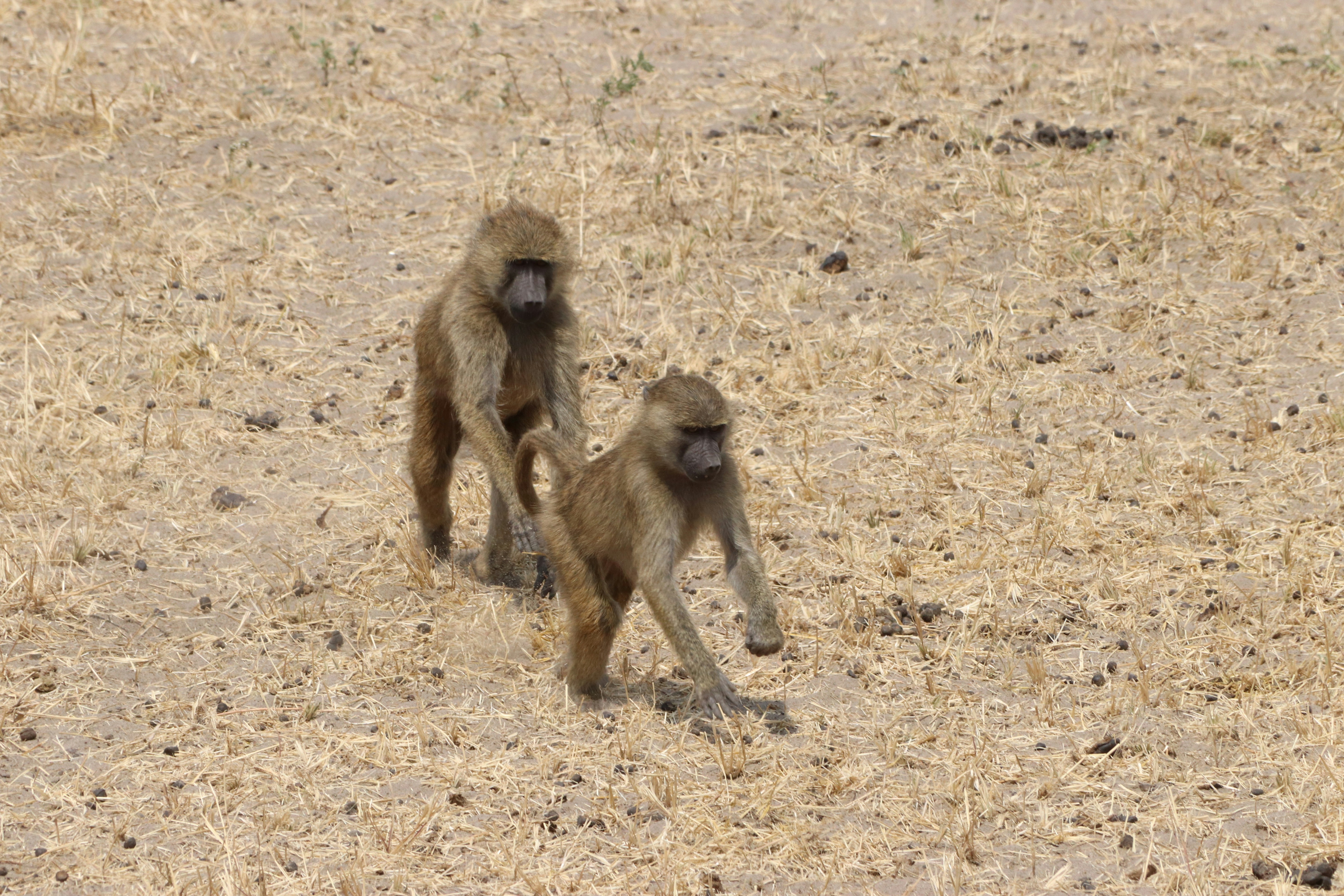 Photo by stijnvandenberg