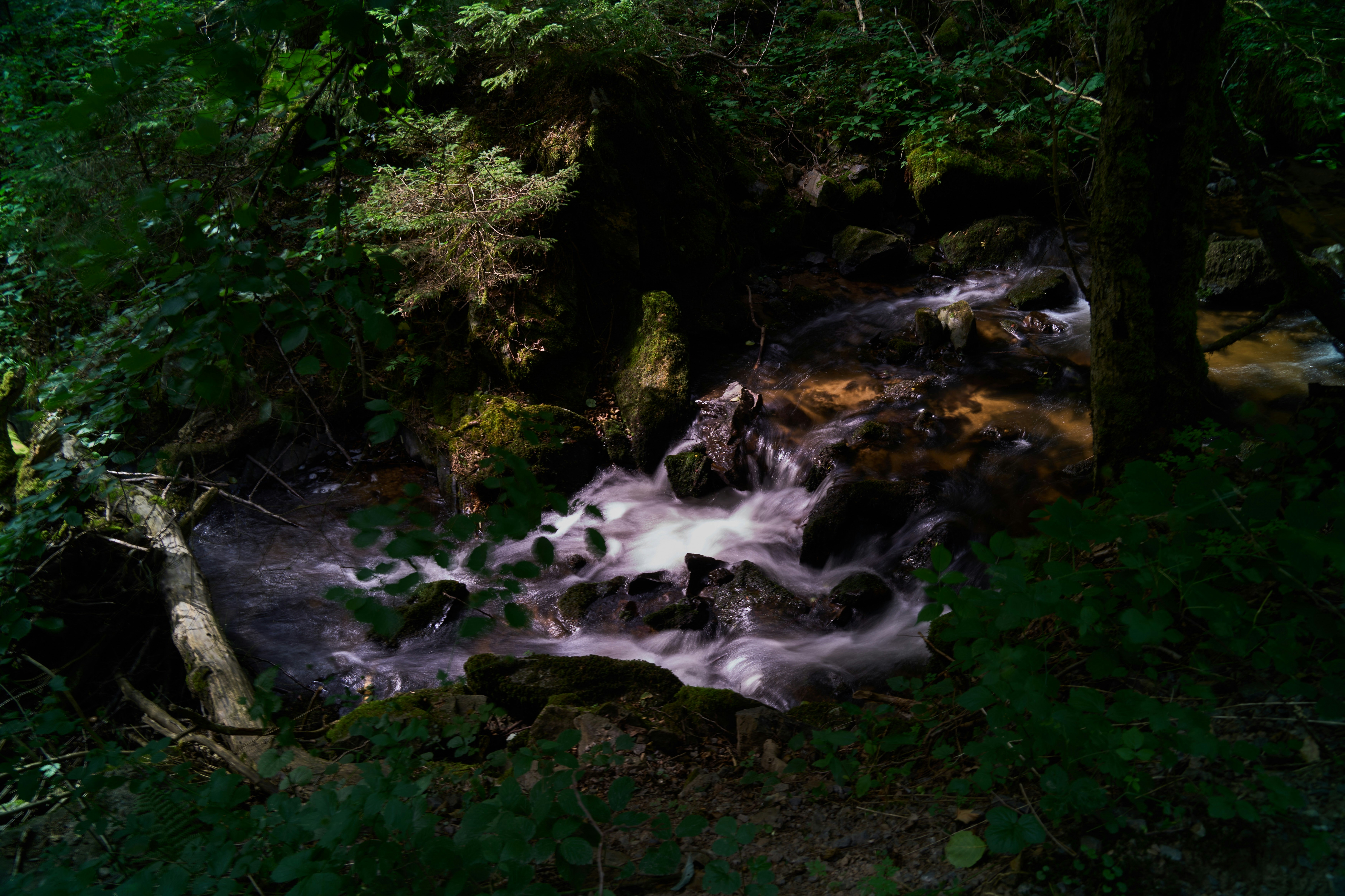 Photo by wolfgang_hasselmann