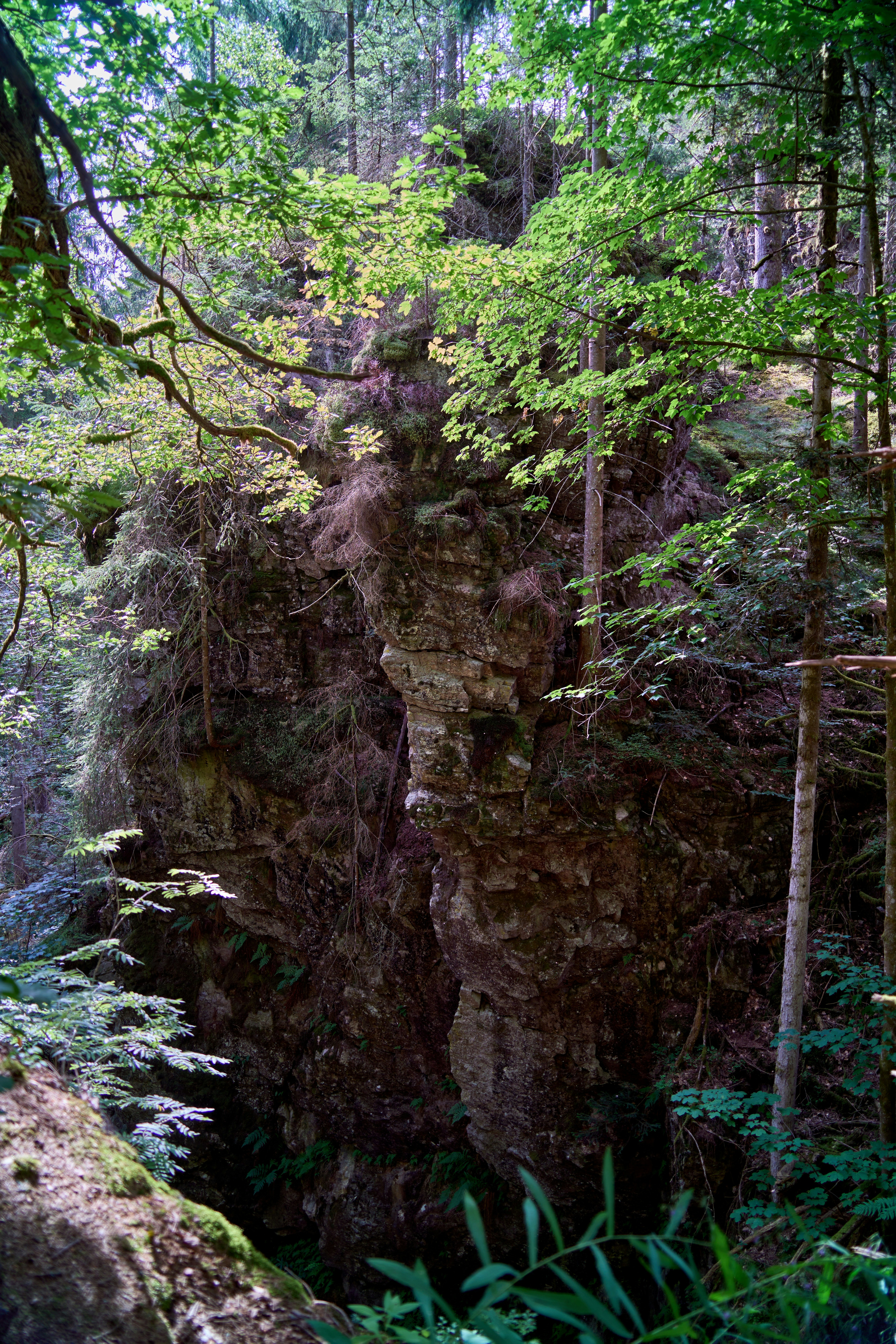 Photo by wolfgang_hasselmann