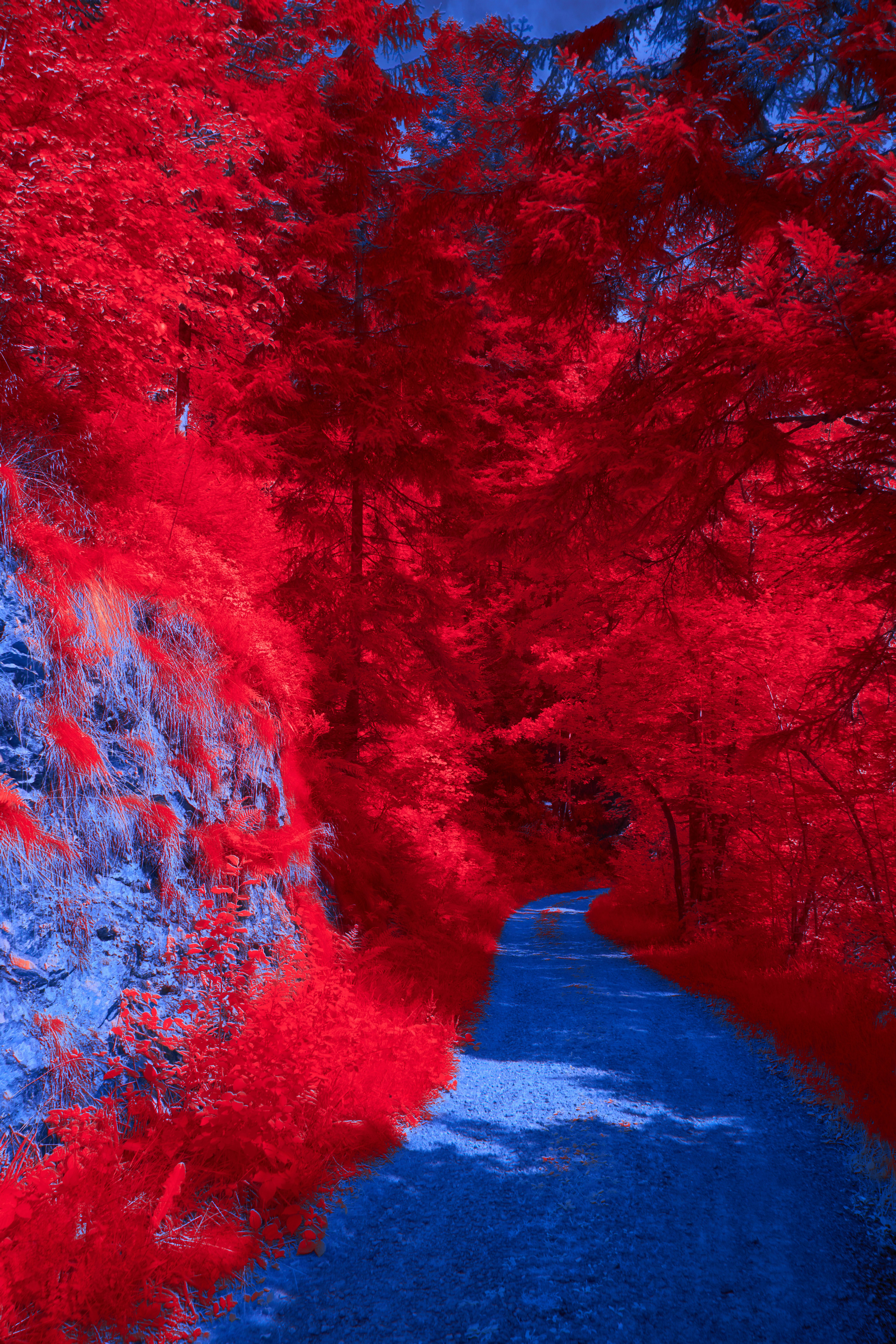 Photo by wolfgang_hasselmann