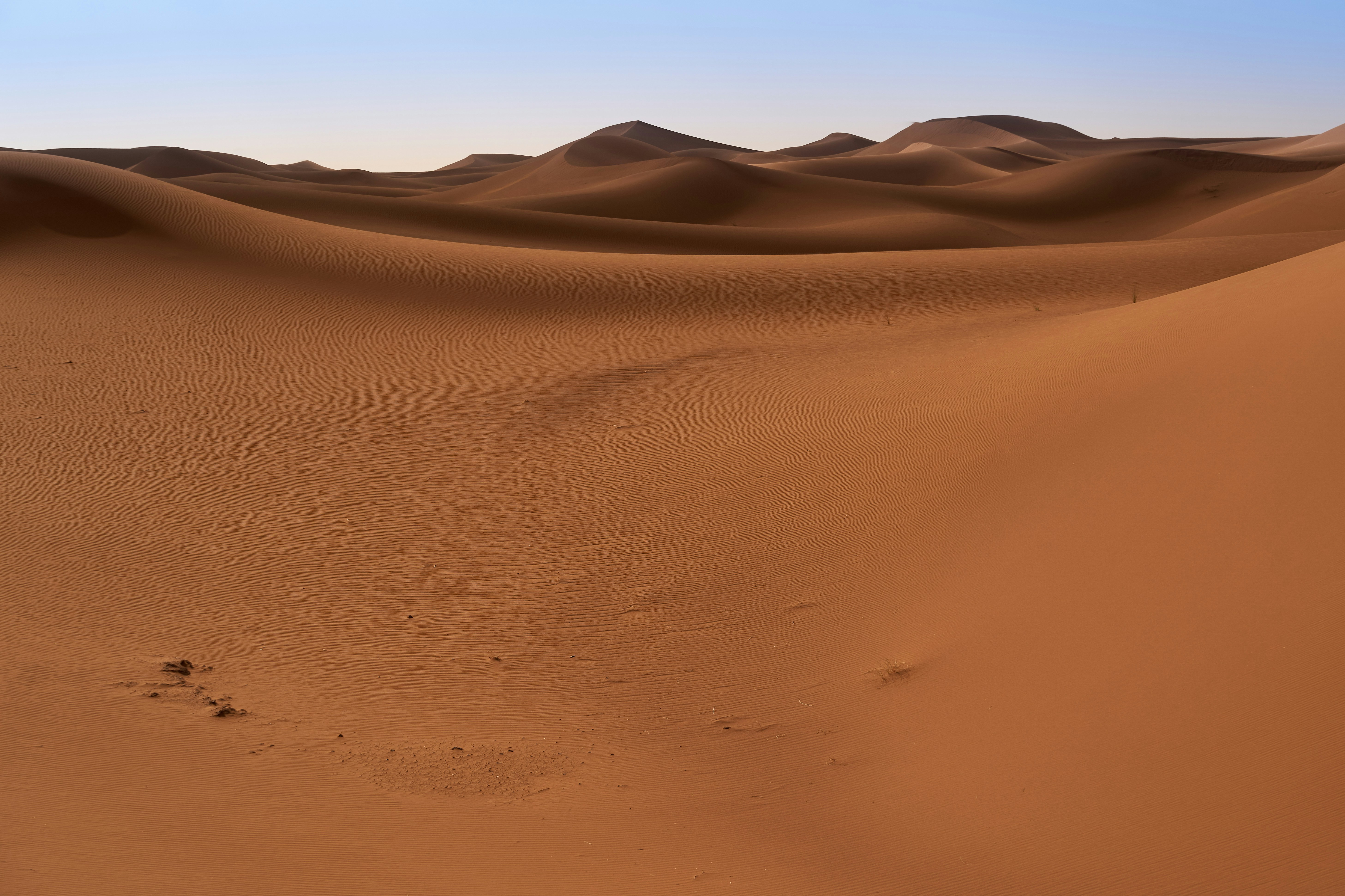 Photo by wolfgang_hasselmann