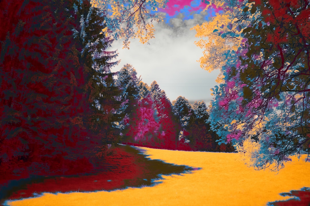 a painting of a path through a forest,