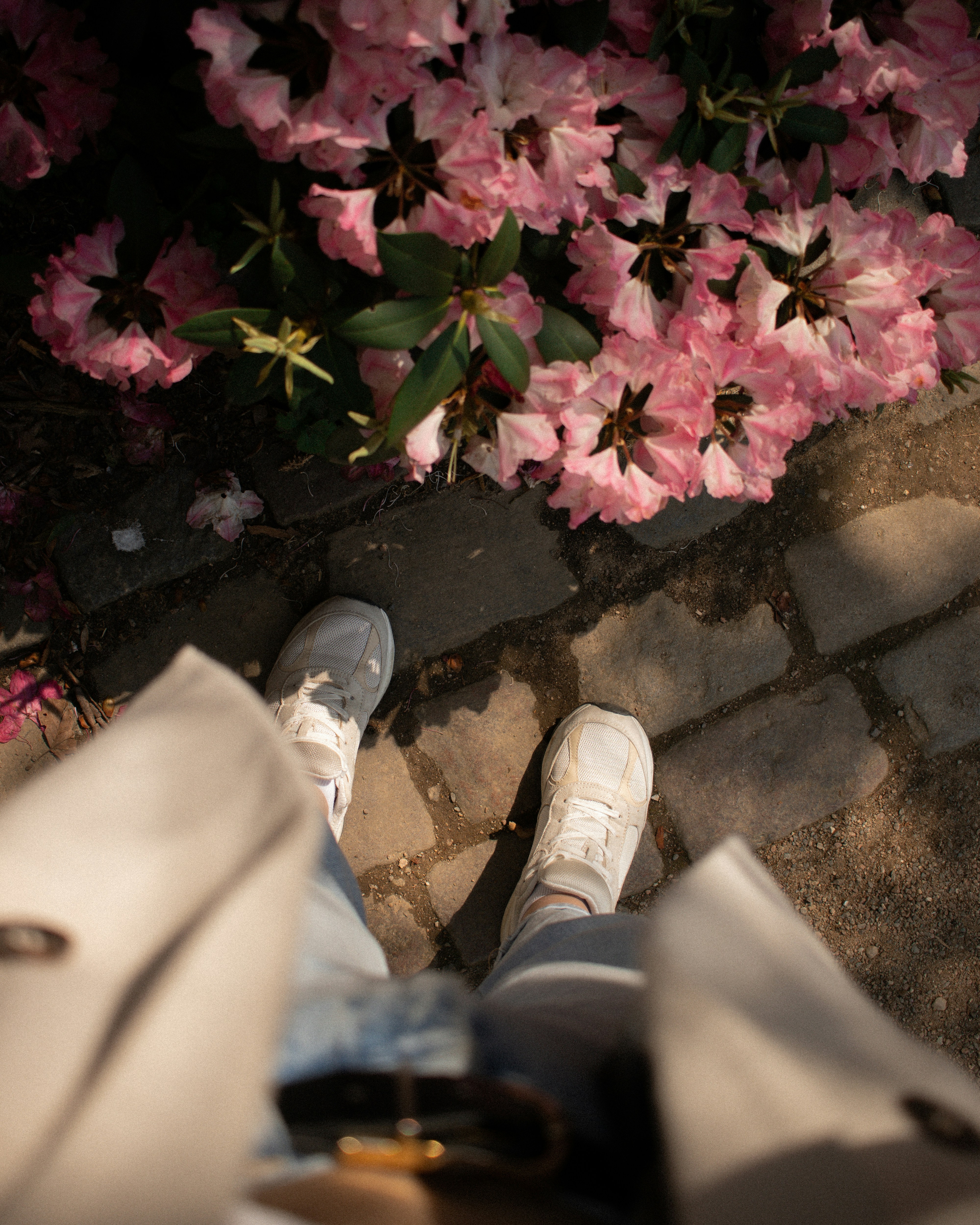 Photo by darynadudar