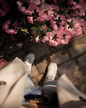 Close-up of a soft pink heel stepping on a sunlit cobblestone path.