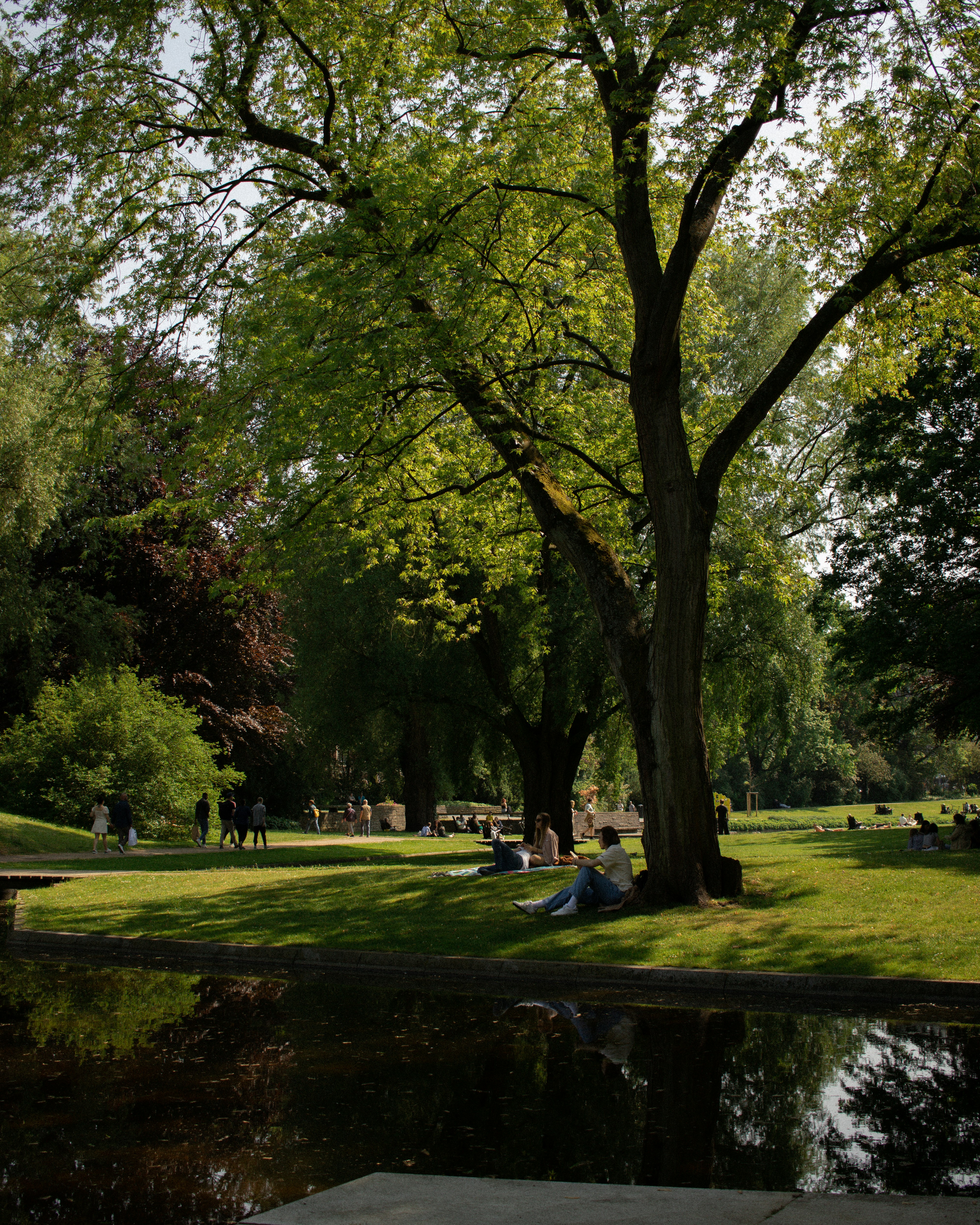 Photo by darynadudar