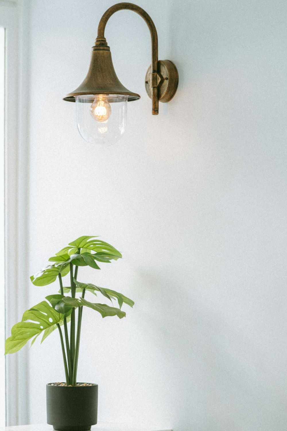 Una planta en maceta sentada encima de una mesa blanca