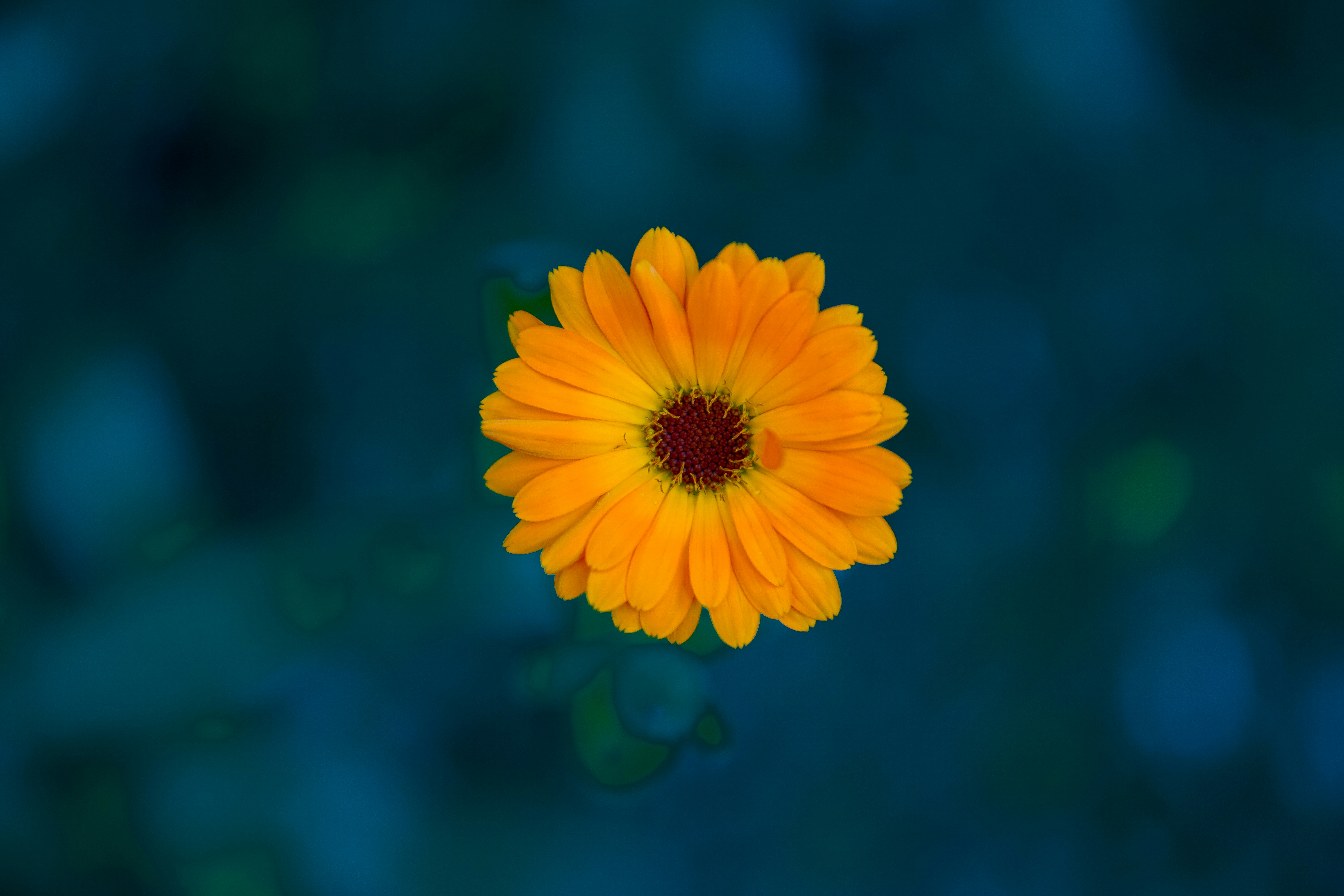 Photo by 3467634mikolaj