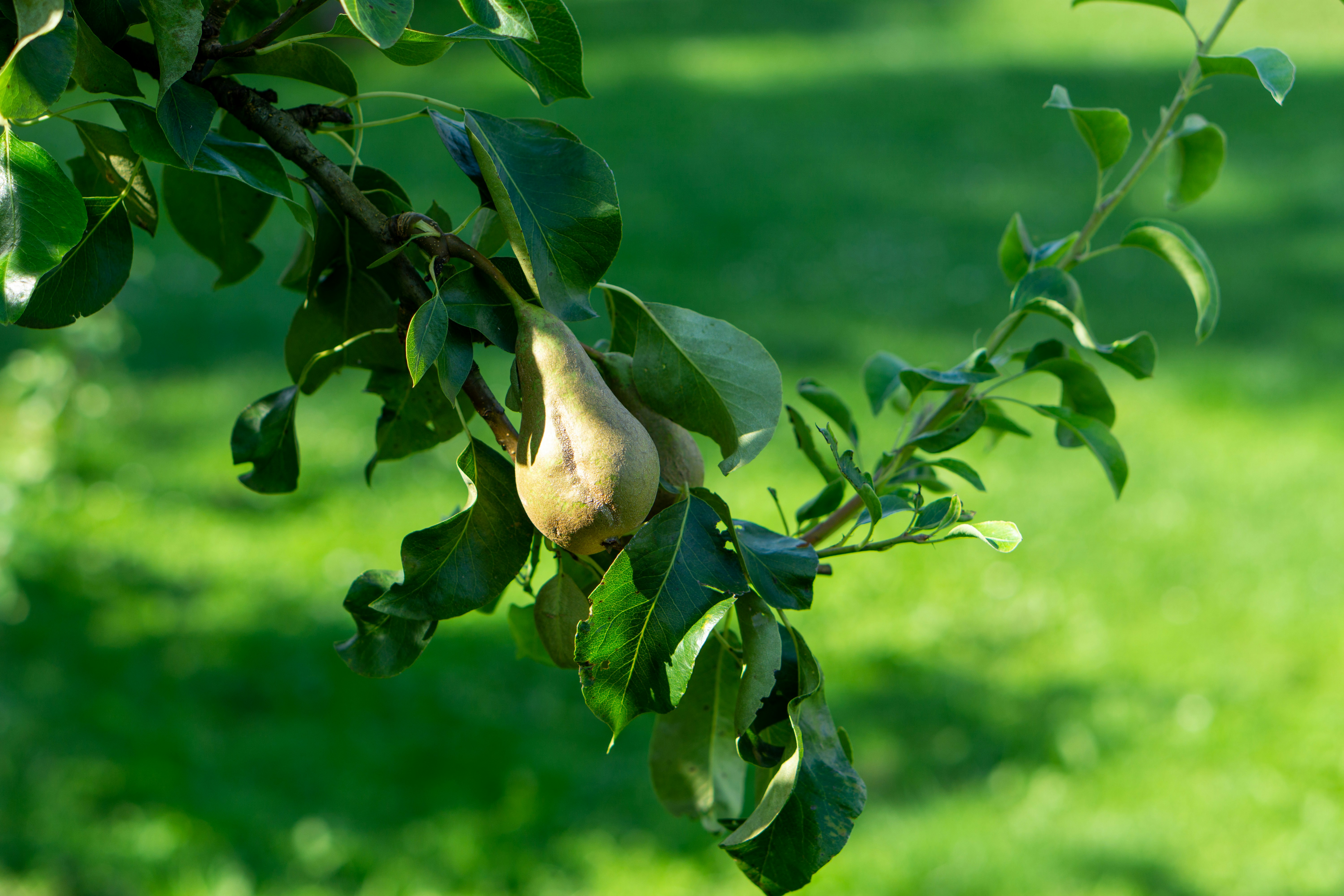 Photo by 3467634mikolaj