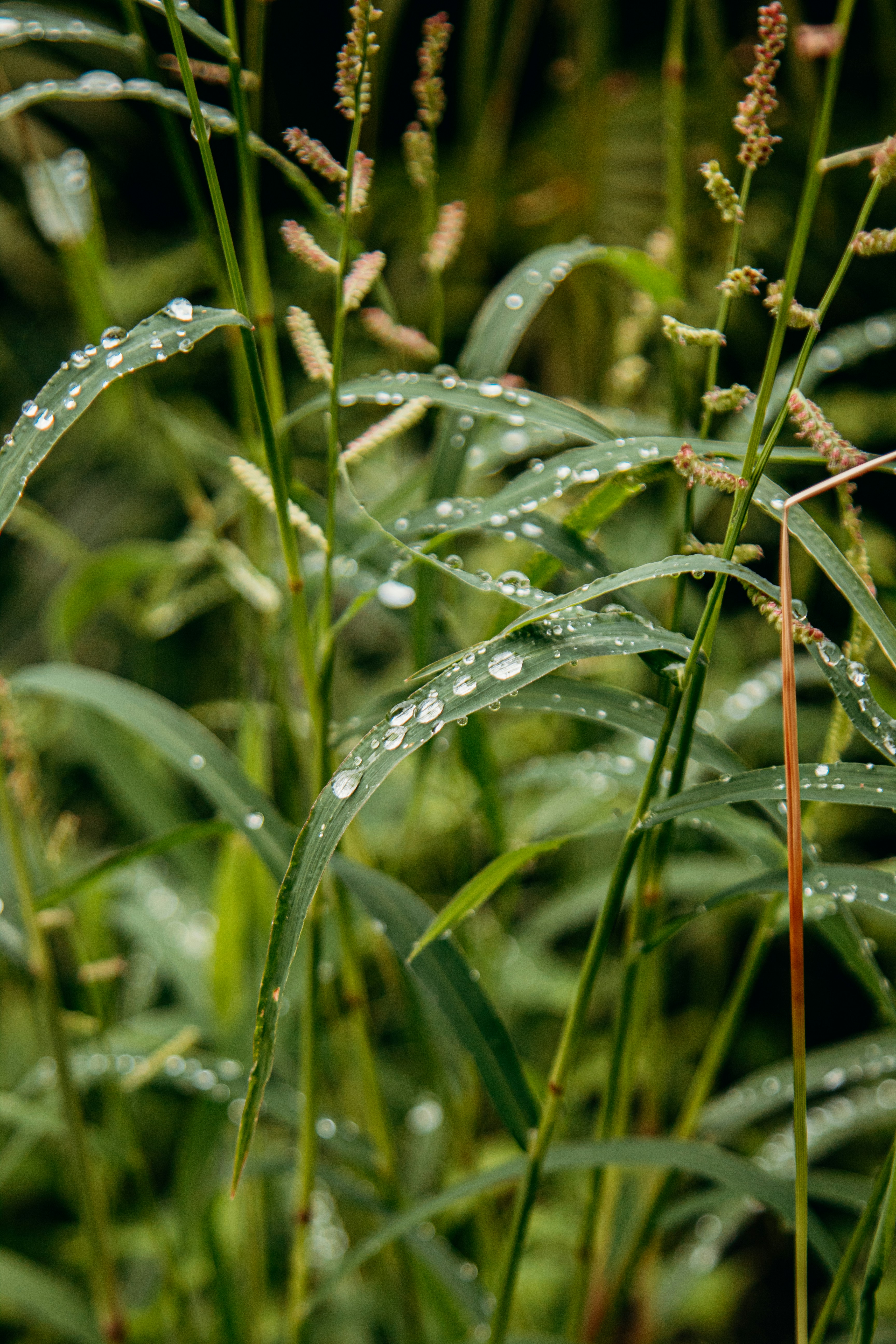 Photo by lumencriativa