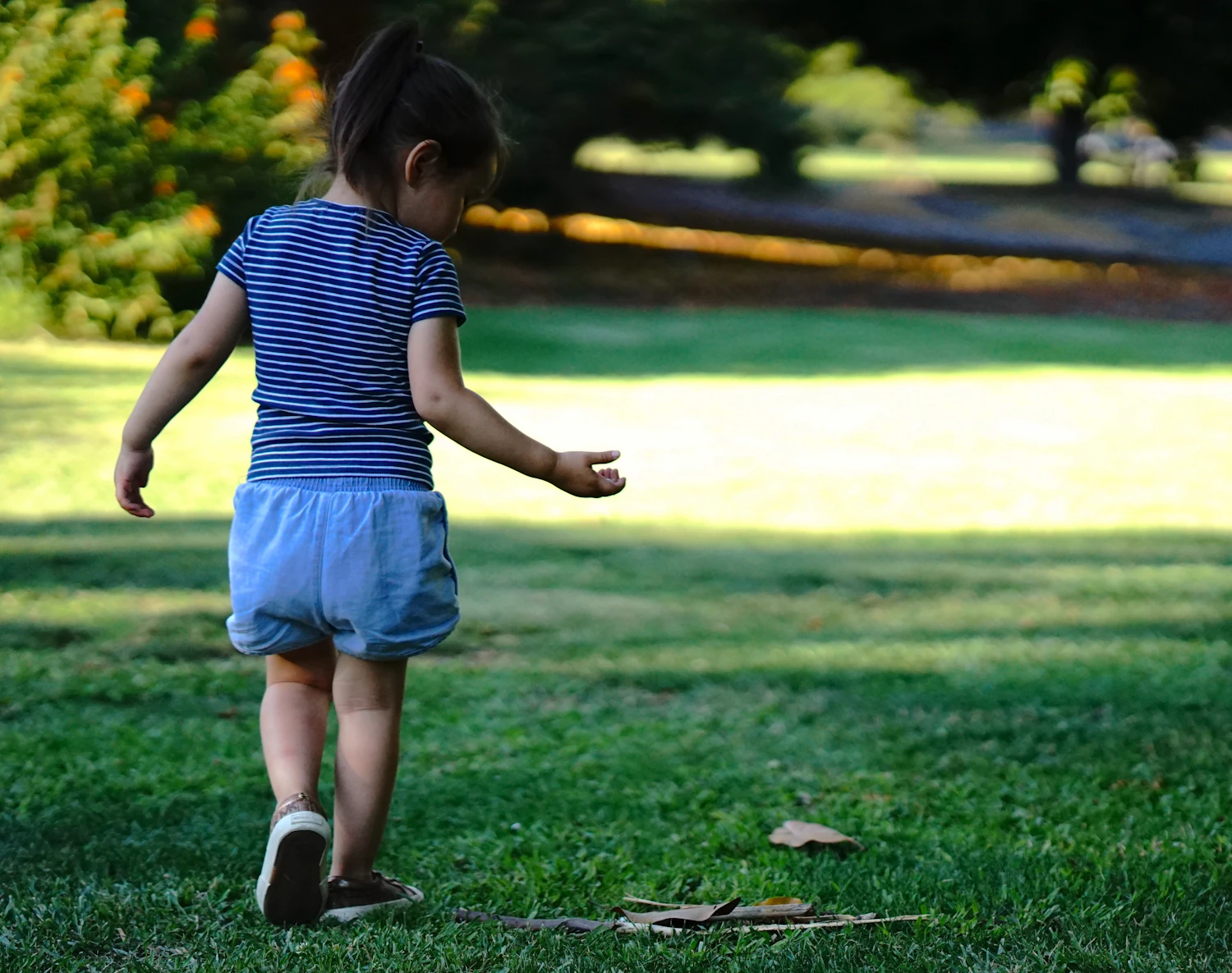 A child in blue walking away across a wide green lawn