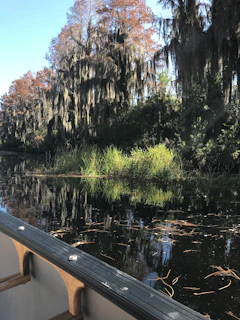 A serene bayou at sunrise with soft mist rising over calm waters, framed by cypress trees draped in Spanish moss.