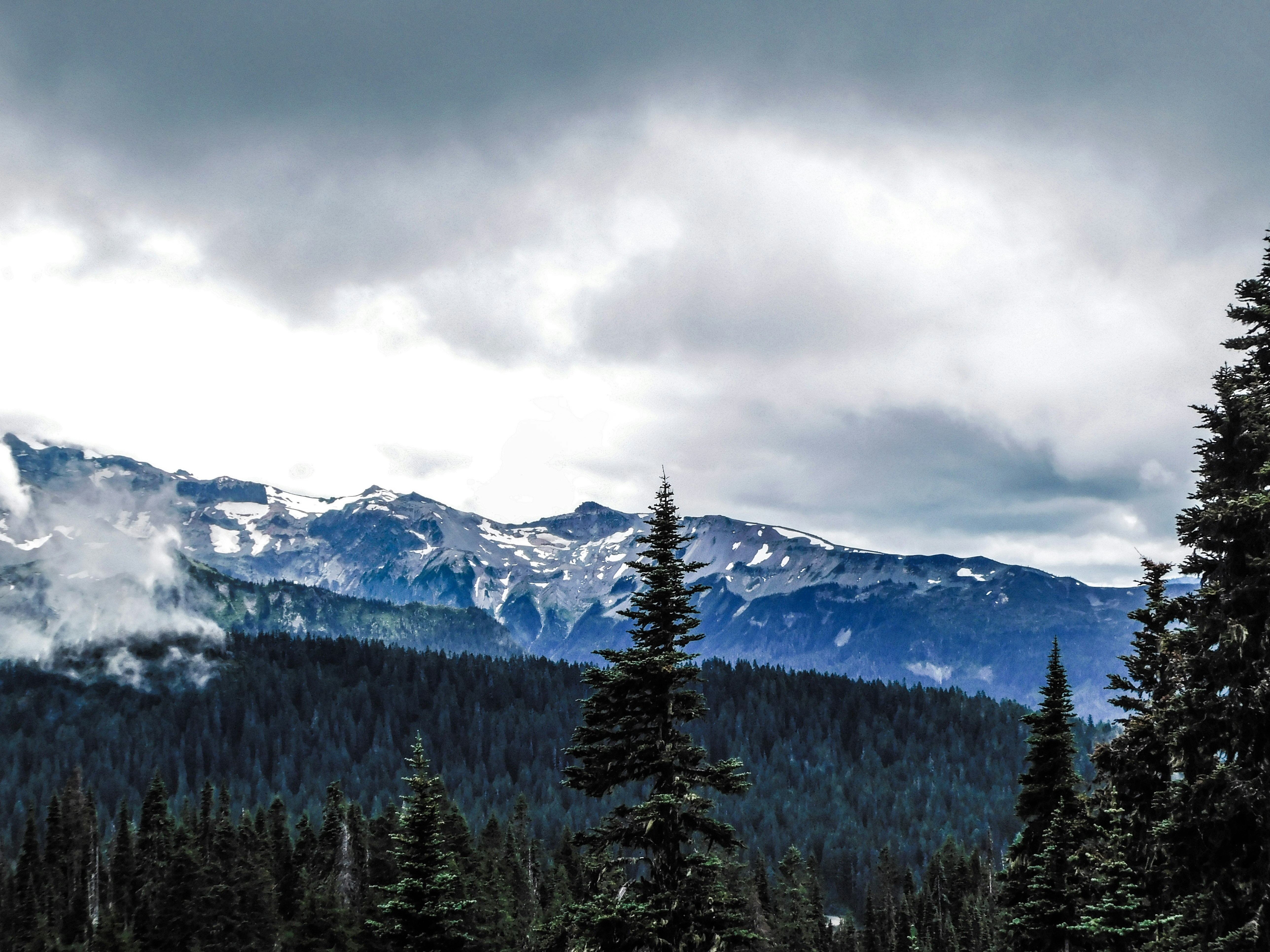 Photo by prphotography262