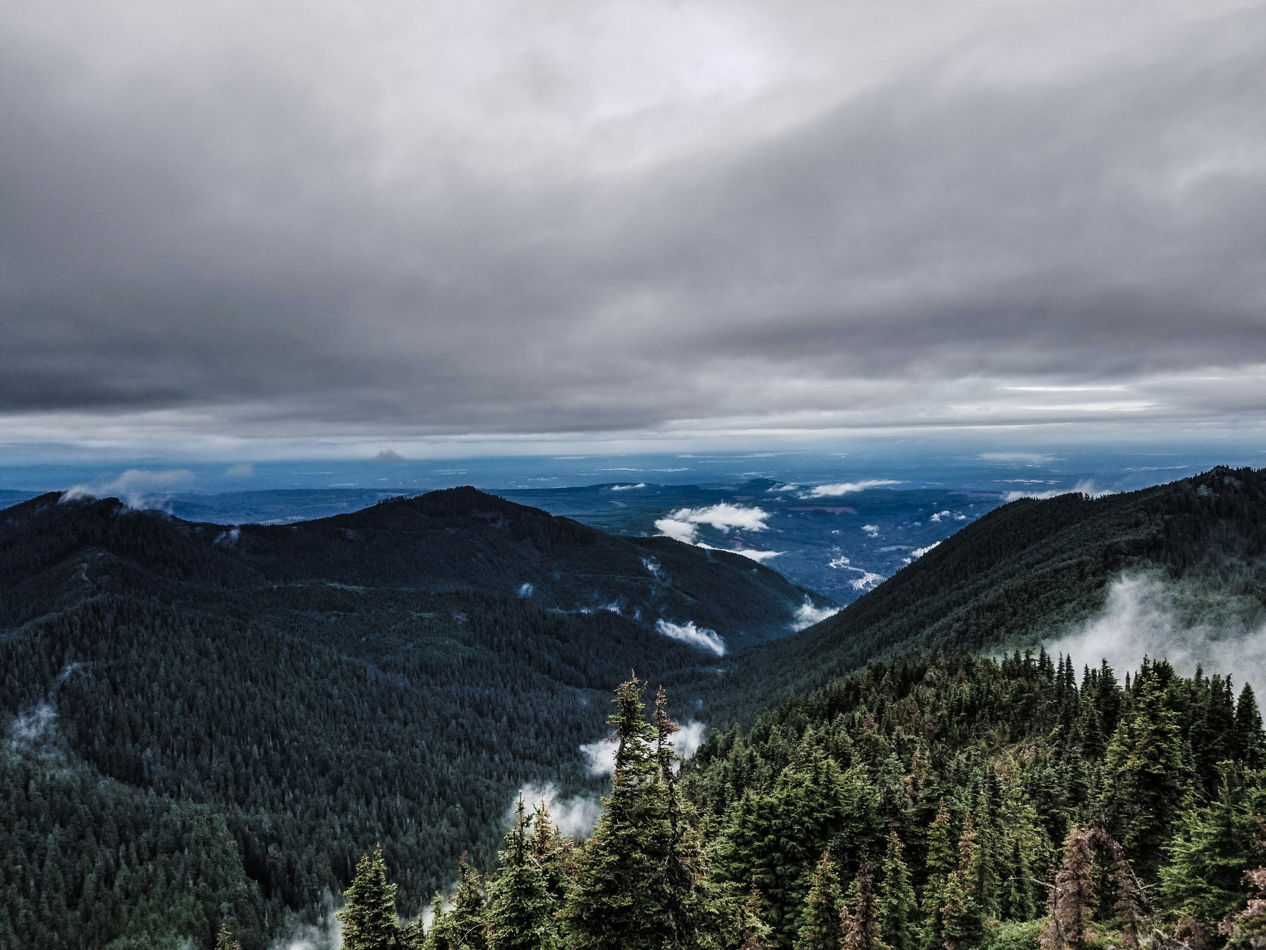 Photo by prphotography262