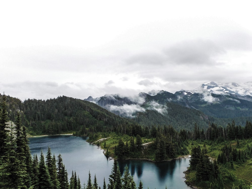 a scenic view of a mountain lake surrounded by pine trees