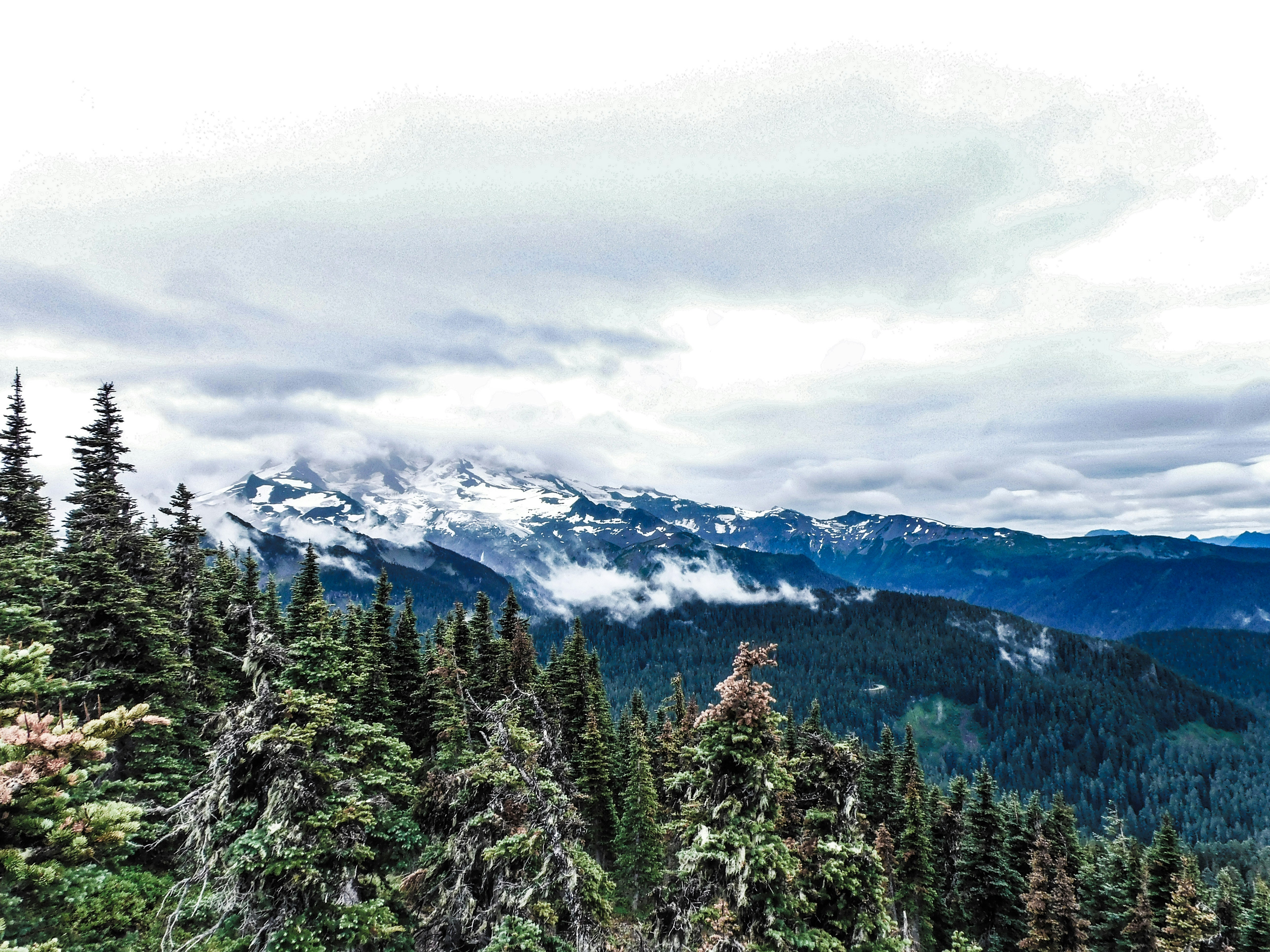 Photo by prphotography262