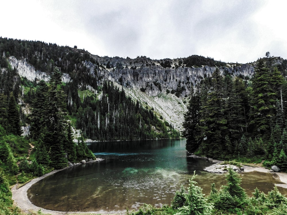 a lake surrounded by trees in the mountains